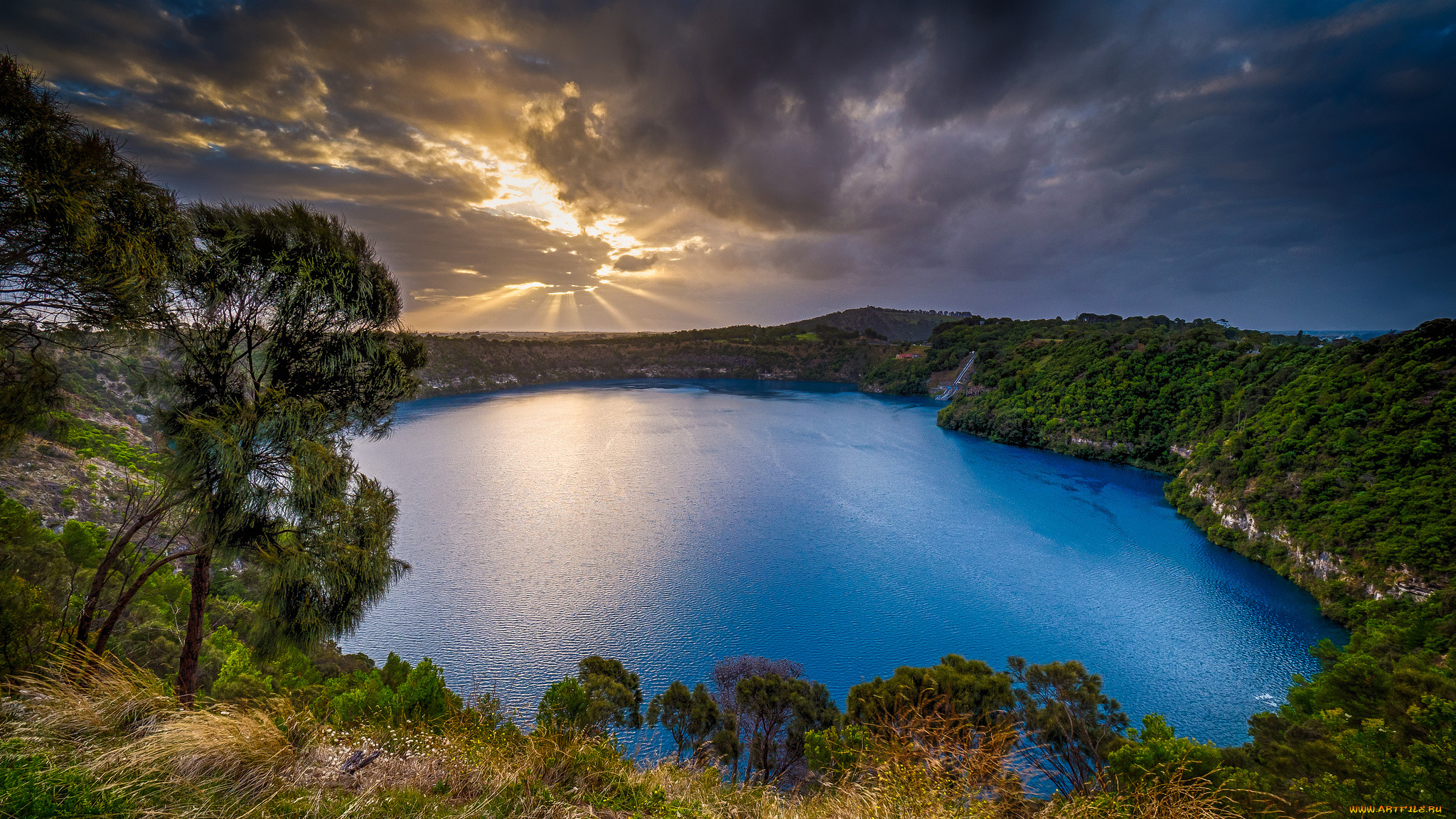 природа, реки, озера, река, лес