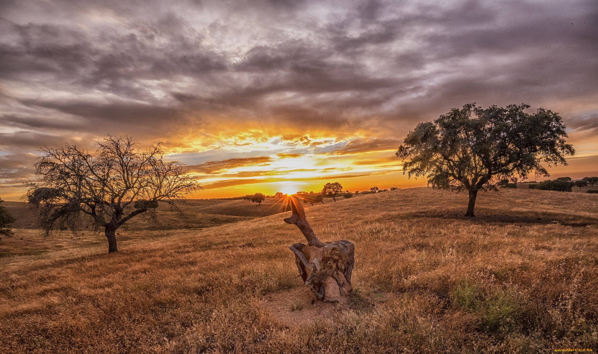 природа, восходы, закаты, рассвет