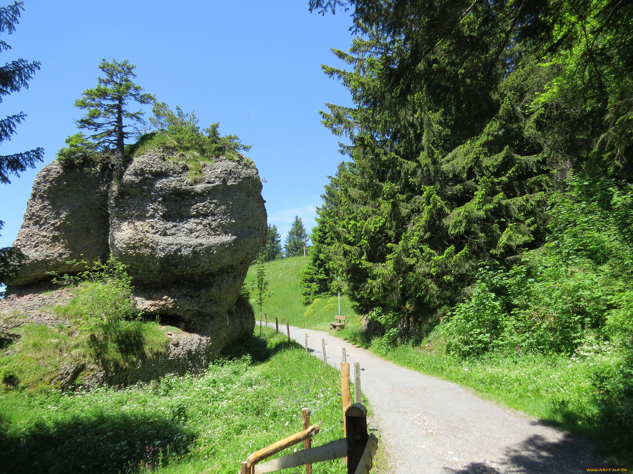 природа, дороги, лес, камень, дорога