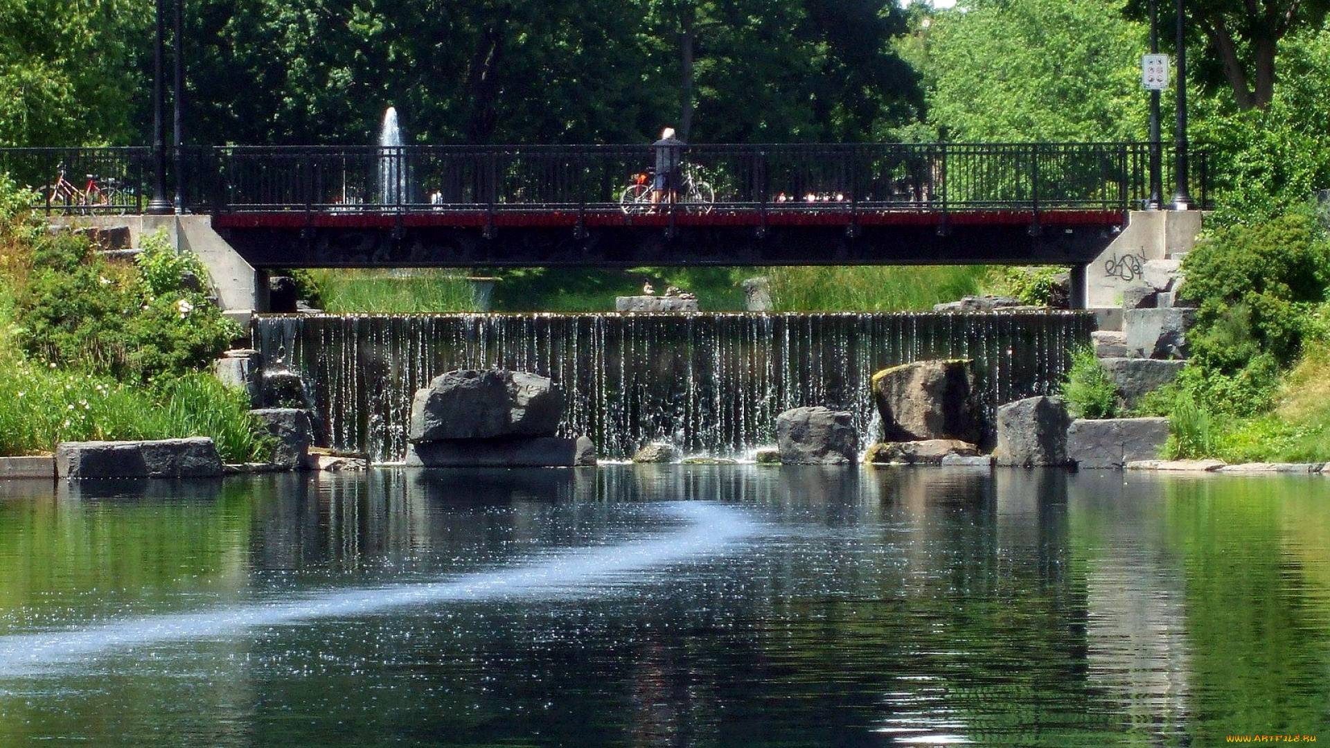 природа, парк, водоем, мостик