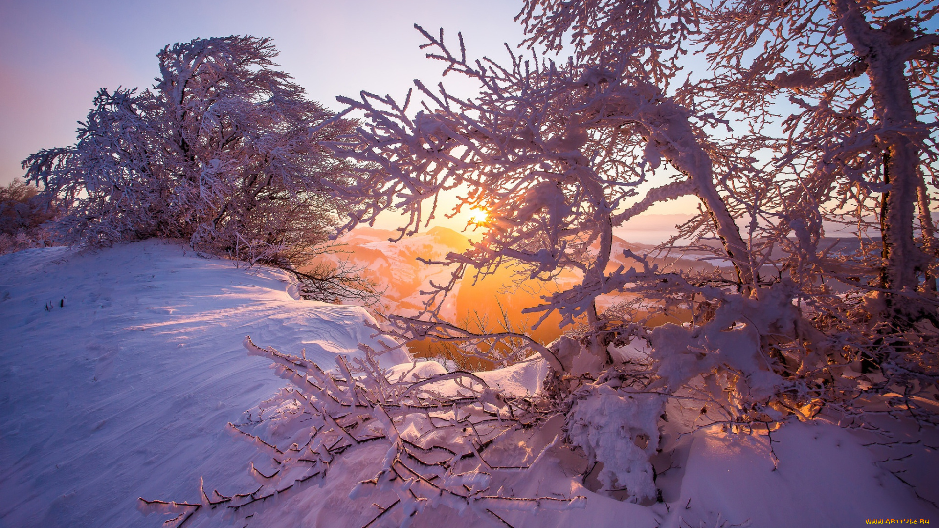 природа, зима, деревья, switzerland, восход, рассвет, jura, mountains, горы, юра, утро, швейцария, снег