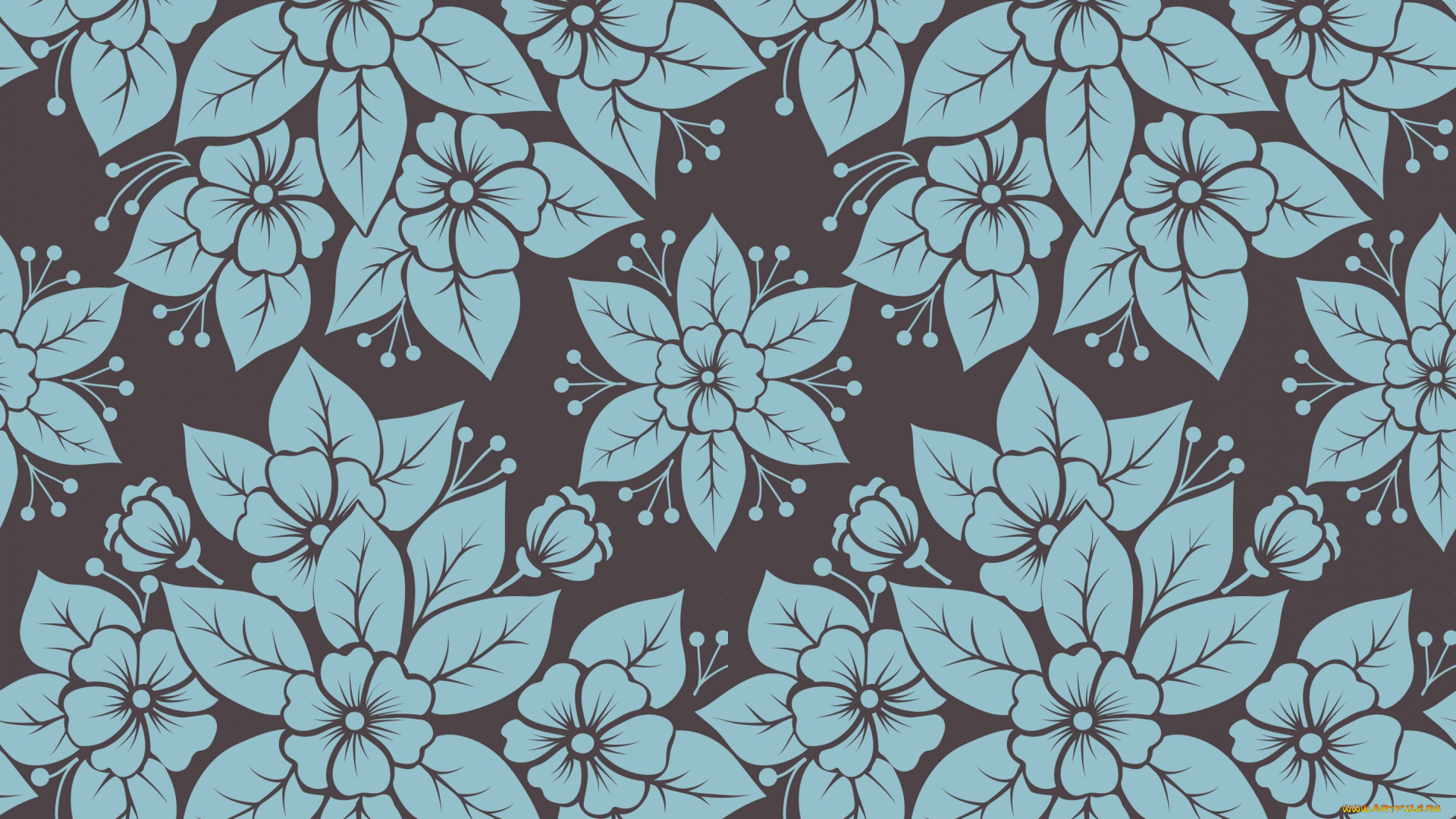 векторная, графика, цветы, , flowers, цветы, фон