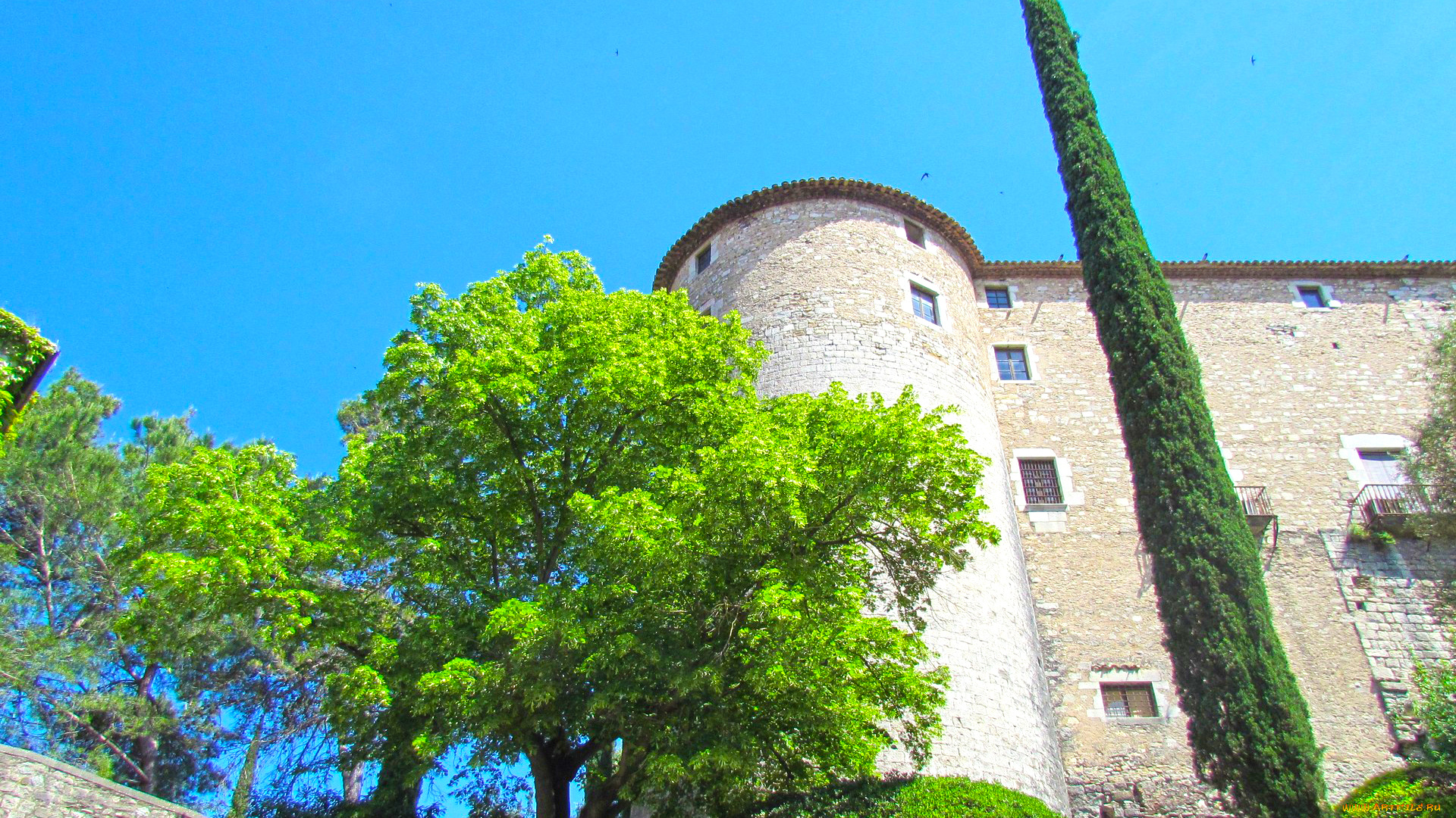 жирона, города, -, другое, здание, дерево