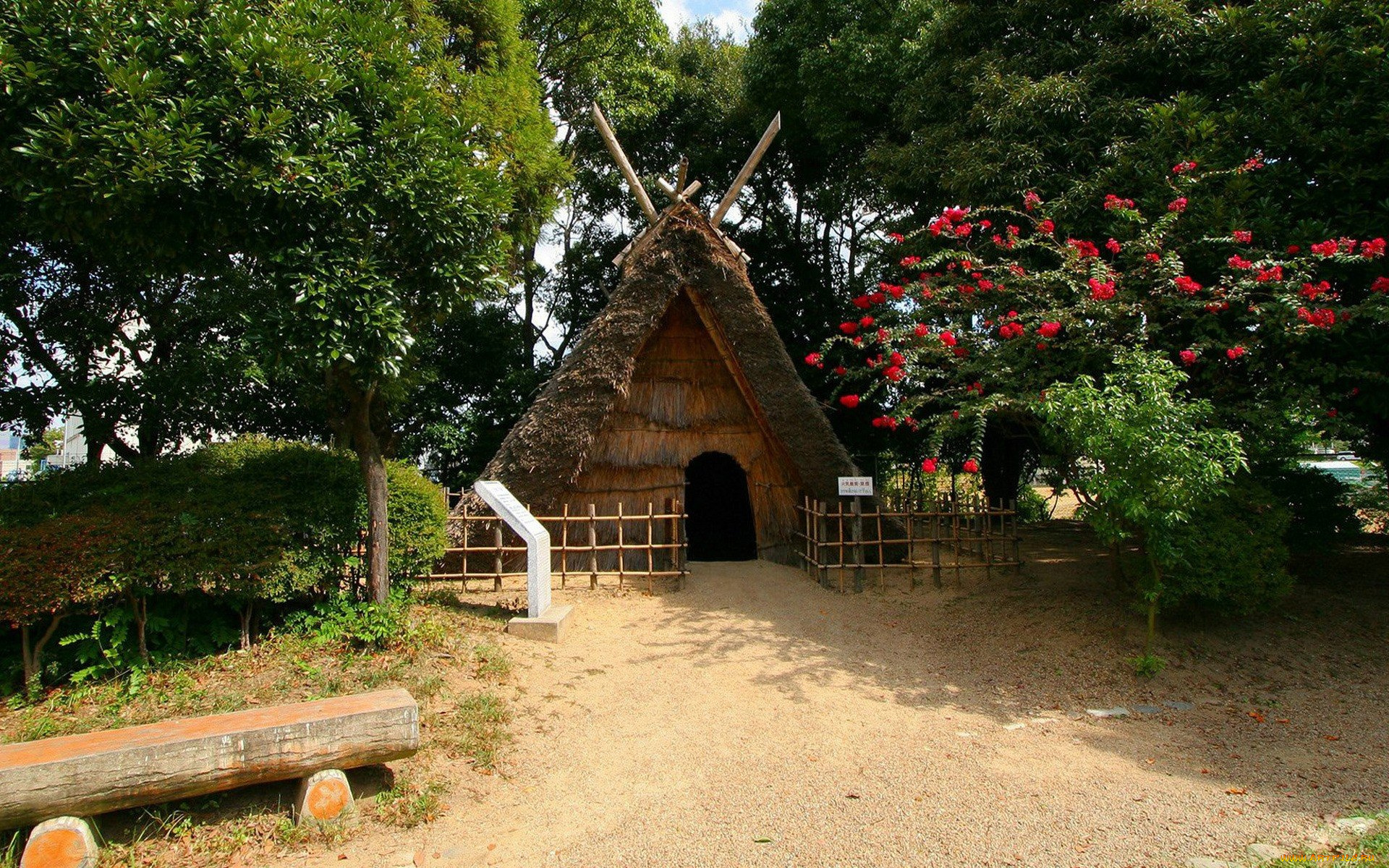 природа, парк, шалаш