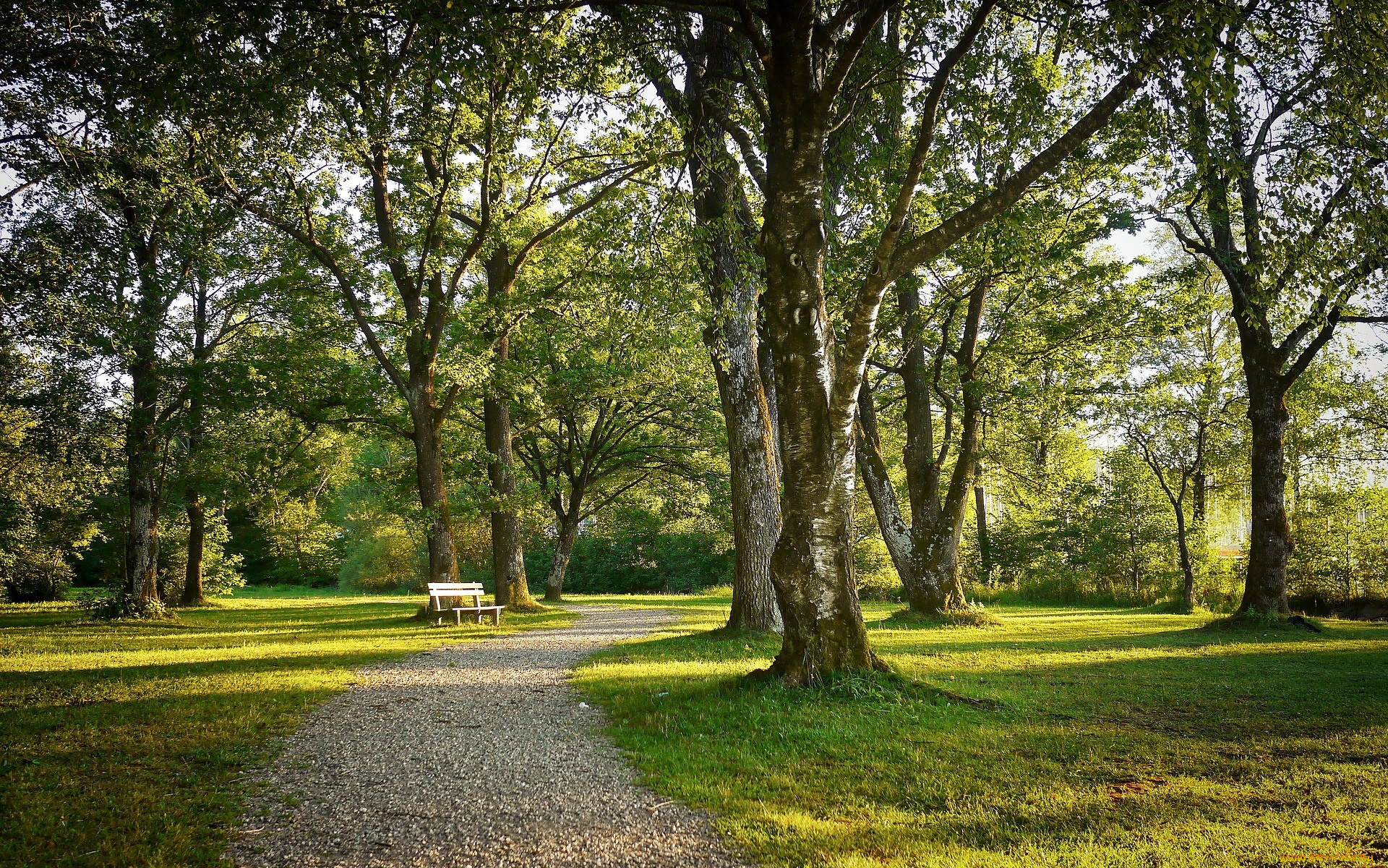 природа, парк, скамейка, аллея
