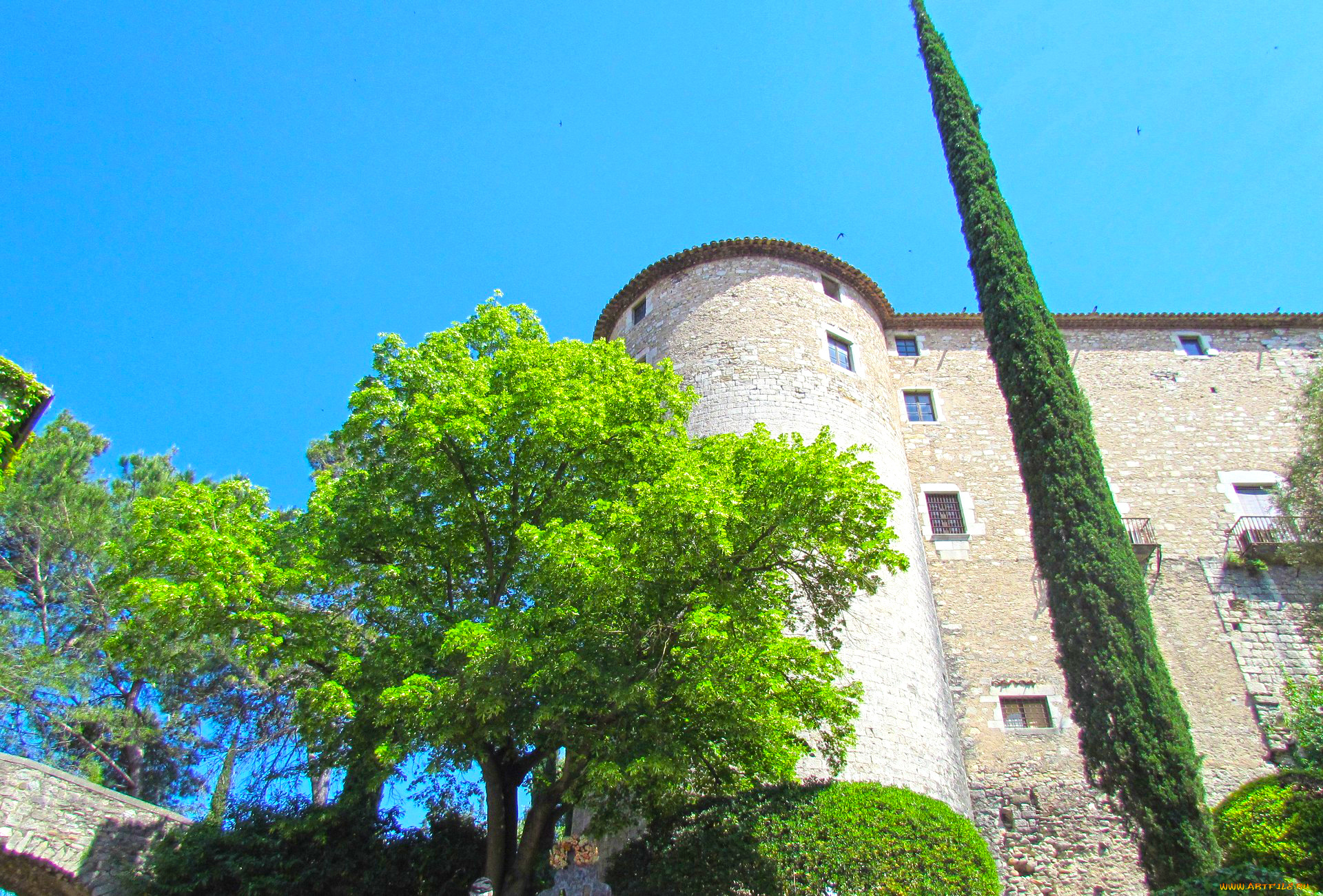 жирона, города, -, другое, здание, дерево