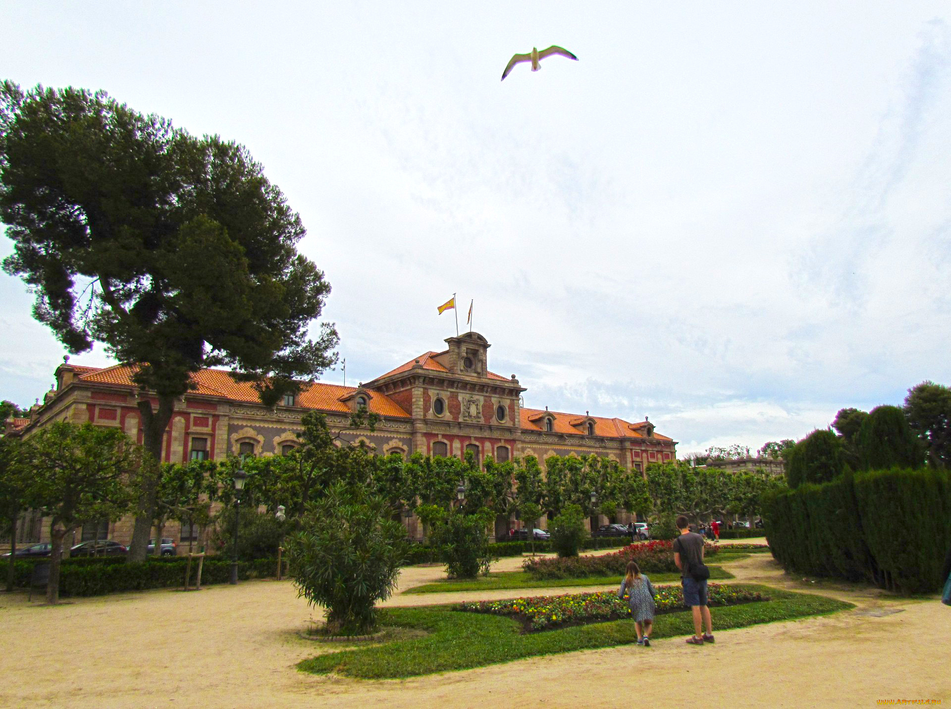 барселона, города, барселона, , испания, здание, птица, люди, растения