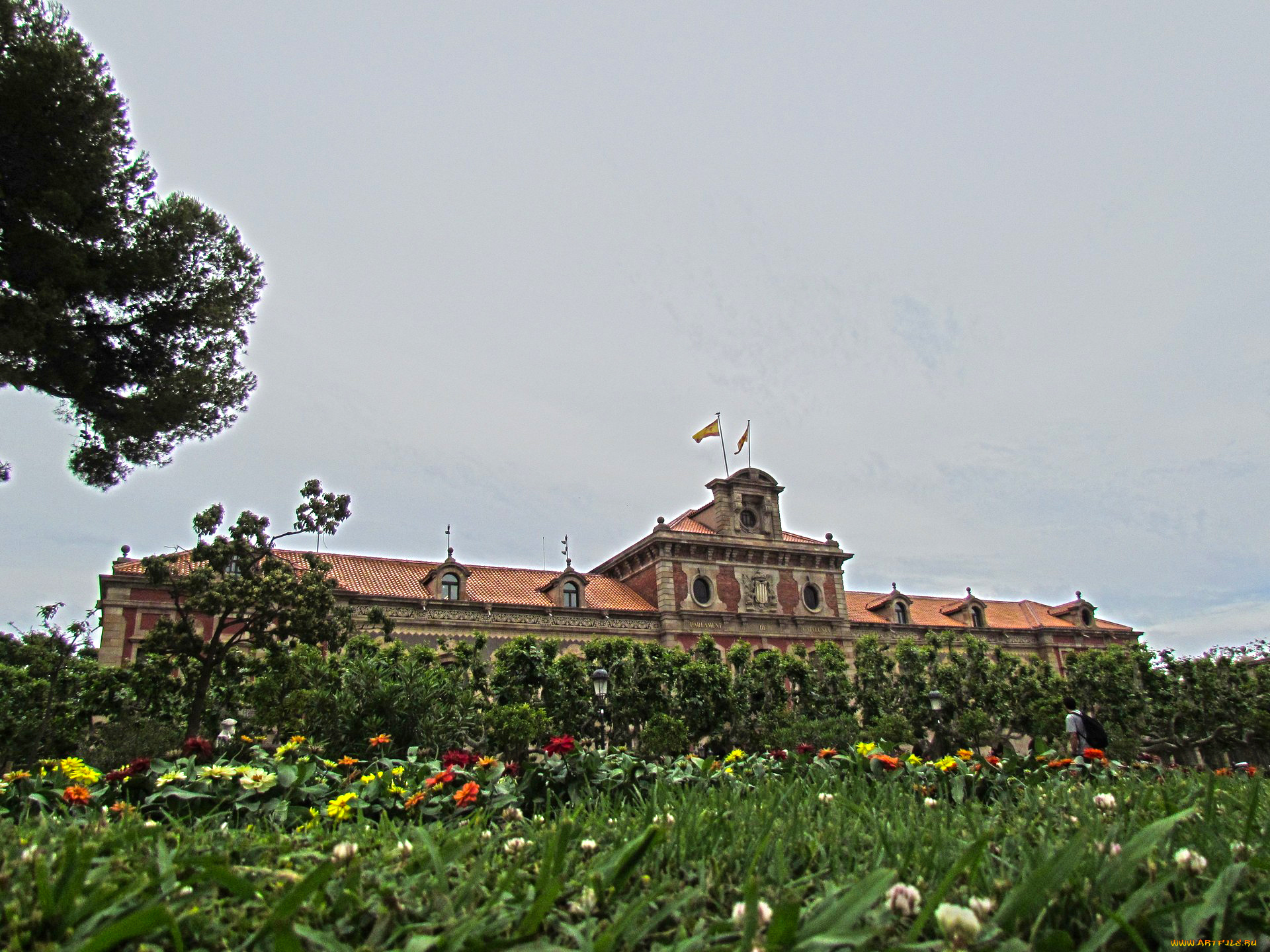 барселона, города, барселона, , испания, здание, растения, цветы