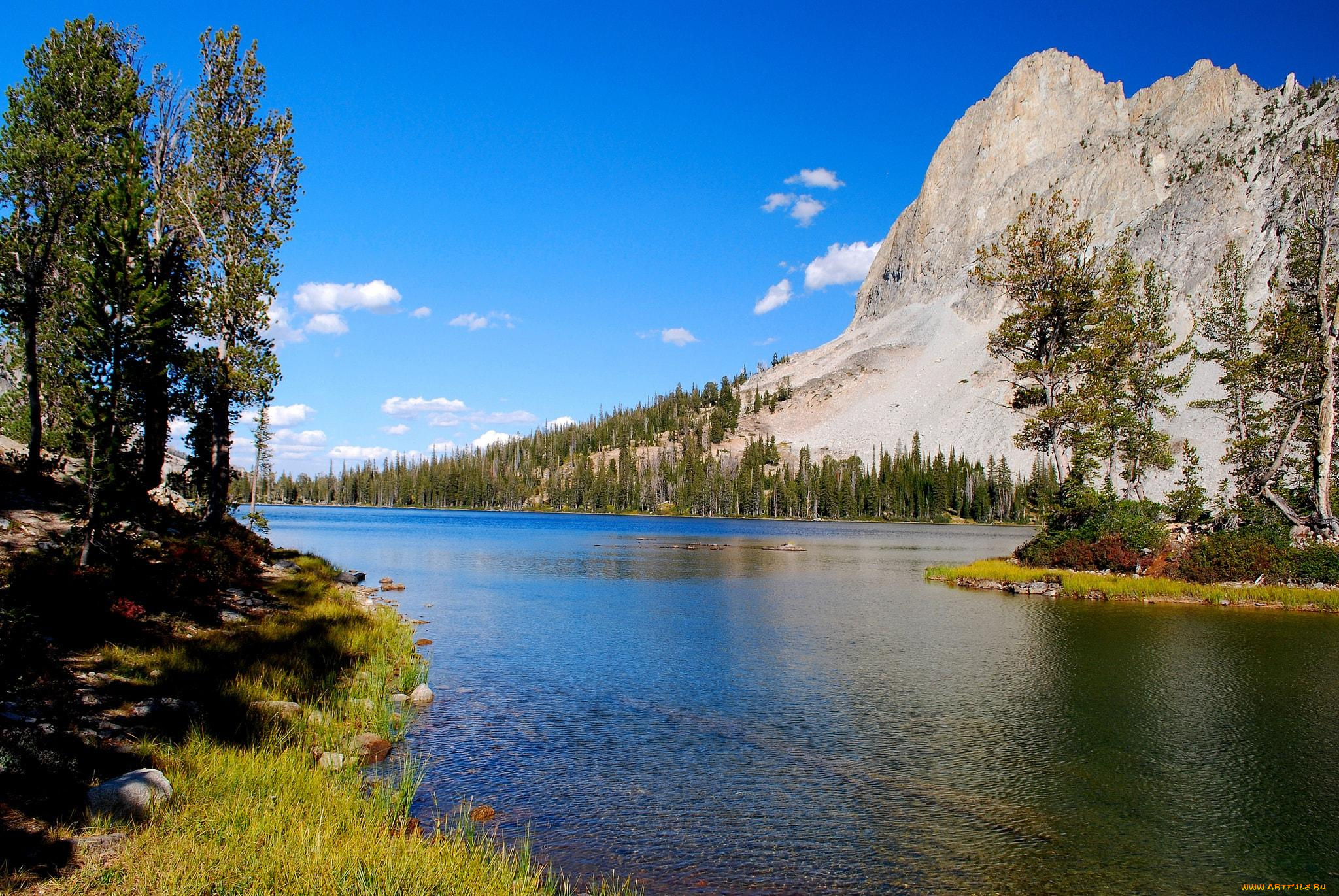 природа, реки, озера, горы, река, деревья, лес