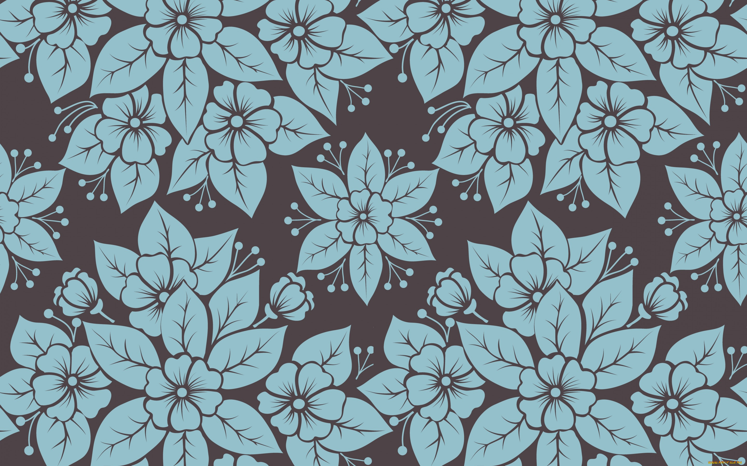 векторная, графика, цветы, , flowers, цветы, фон