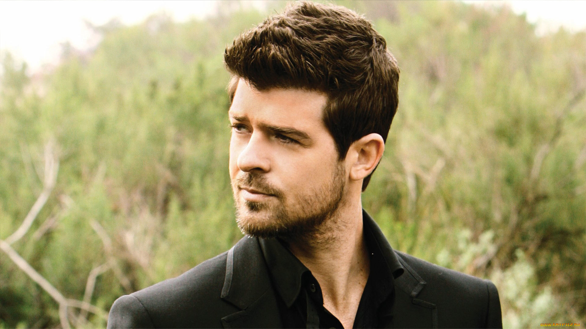 robin, thicke, музыка, музыкант