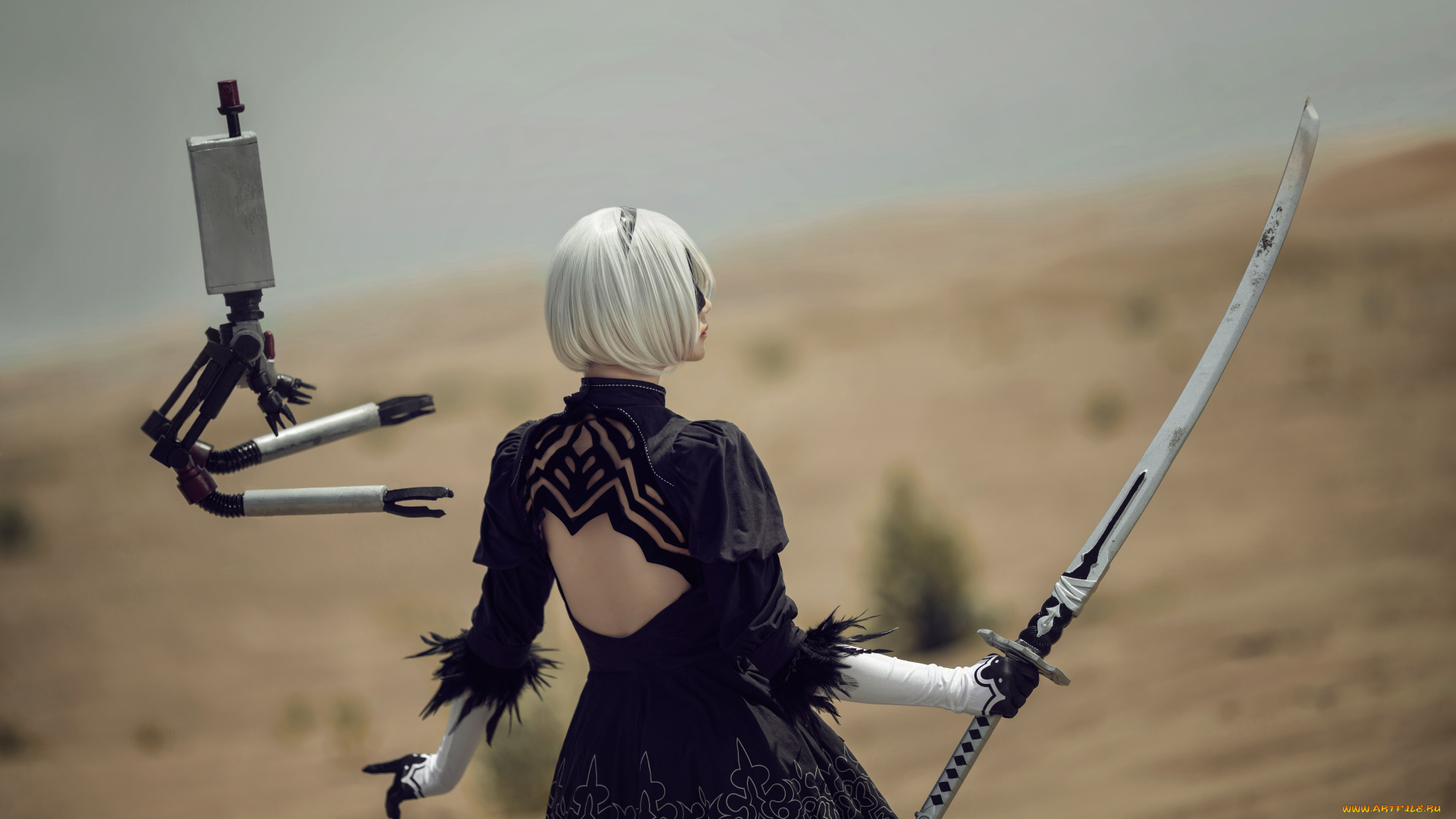 девушки, -unsort, , девушки, с, оружием, андроид, 2в, робот, пустыня, меч, девушка