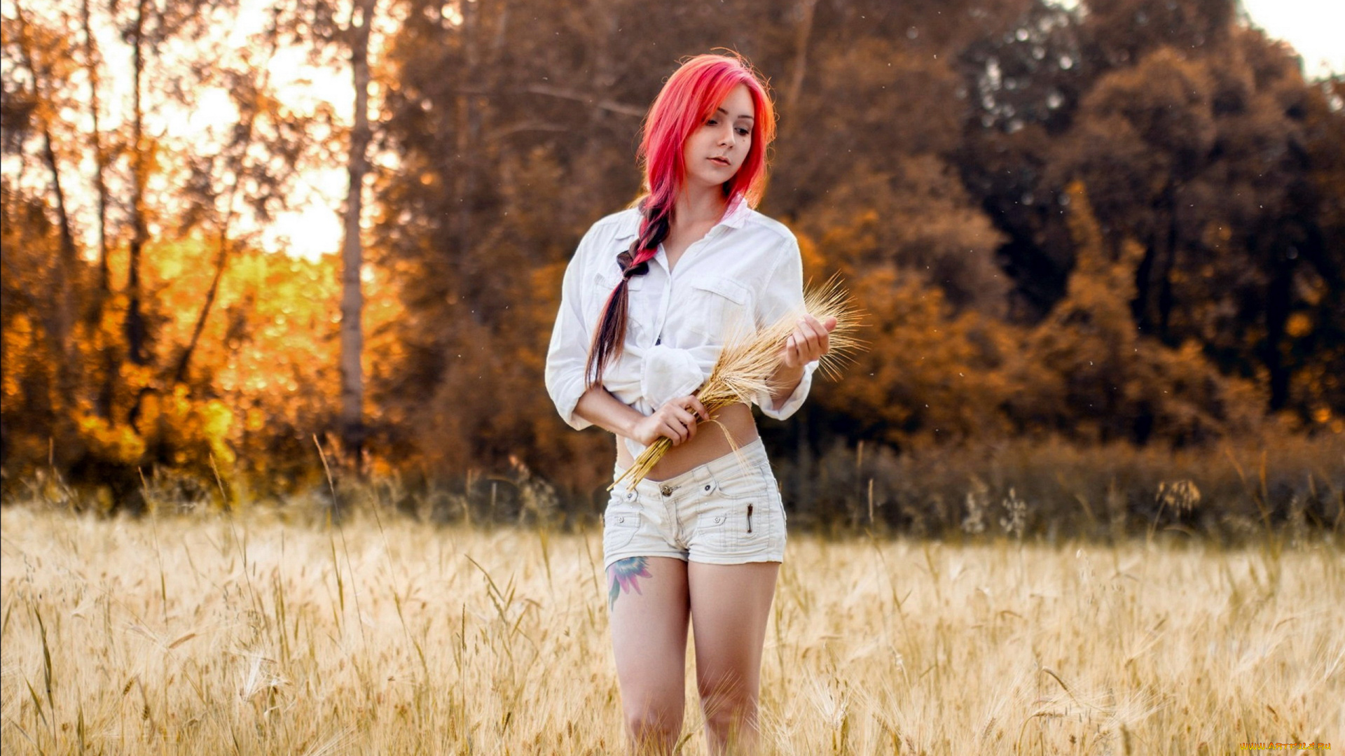 девушки, -unsort, , рыжеволосые, и, другие, шорты, коса, жеся, ильченко, тату