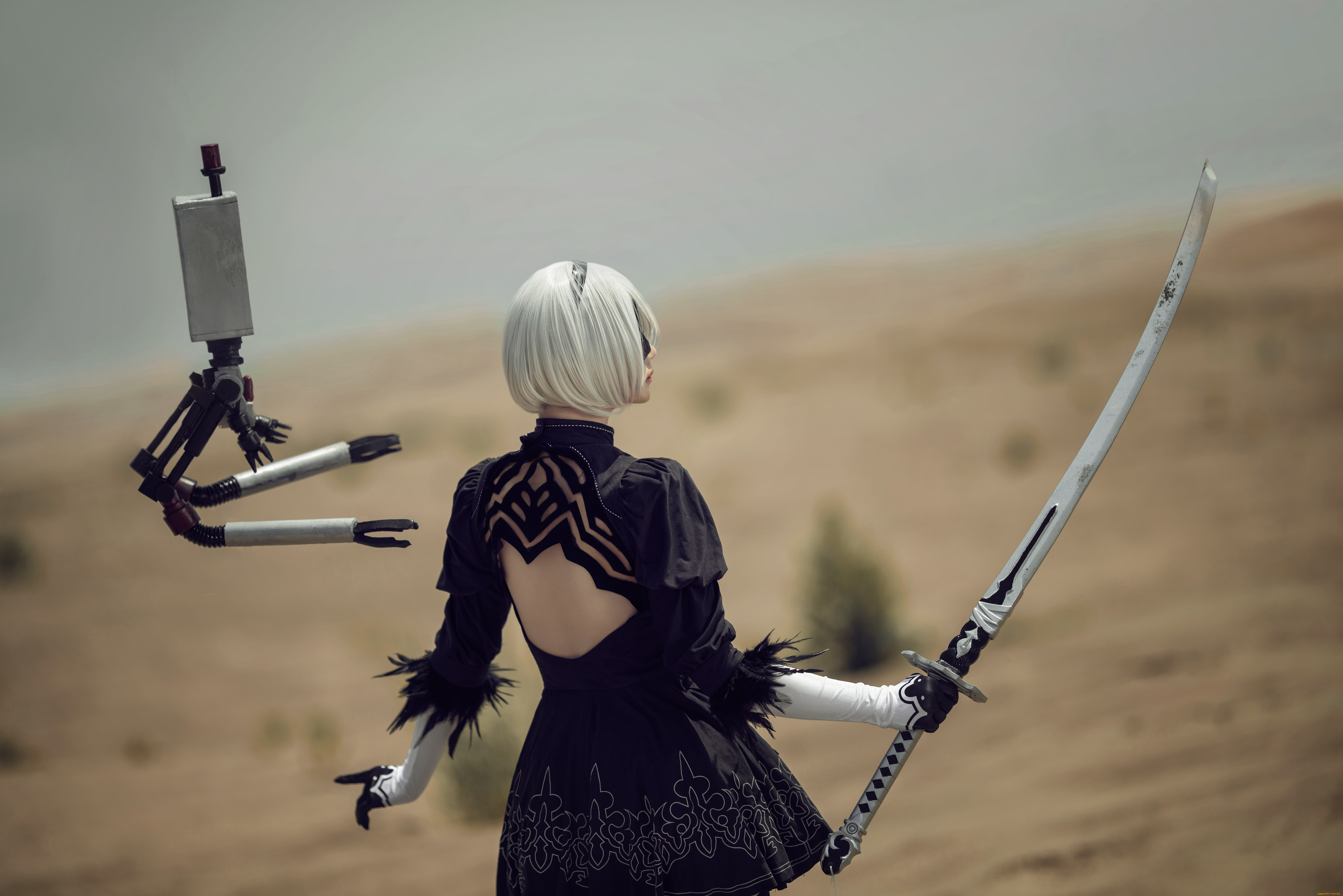 девушки, -unsort, , девушки, с, оружием, андроид, 2в, робот, пустыня, меч, девушка