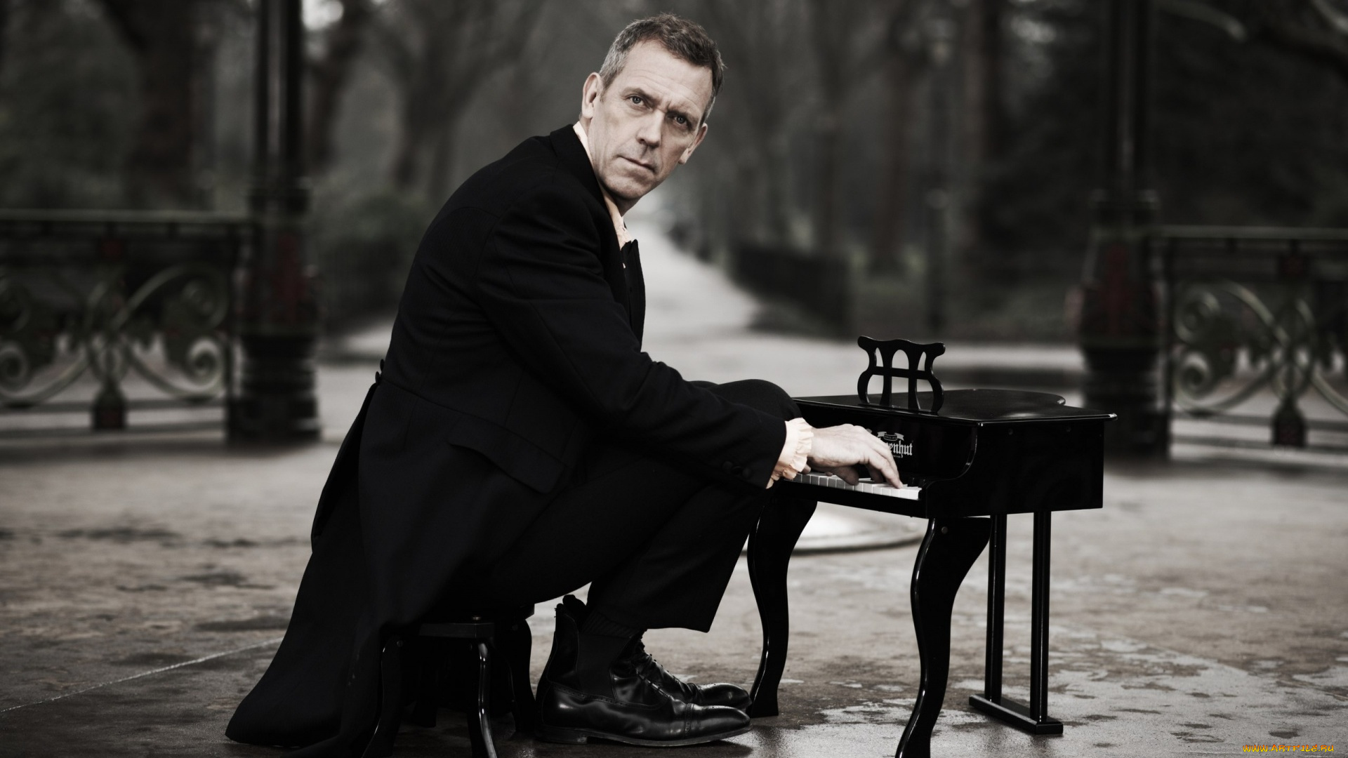 мужчины, hugh, laurie, hugh, laurie