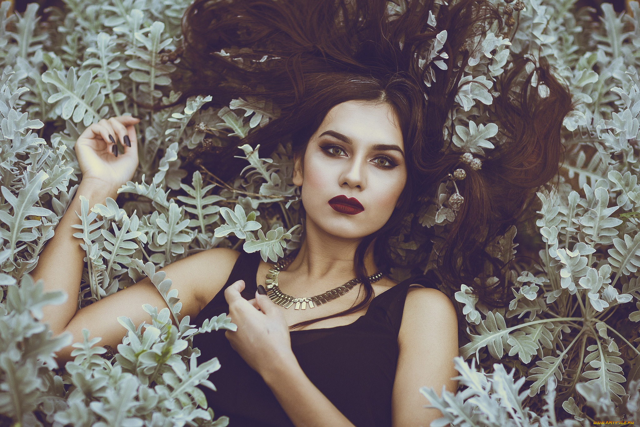 красотка, девушки, -, брюнетки, , шатенки, девушка, красивая, супер, секси, няша, нежная, классная, модница, лапочка, мадам