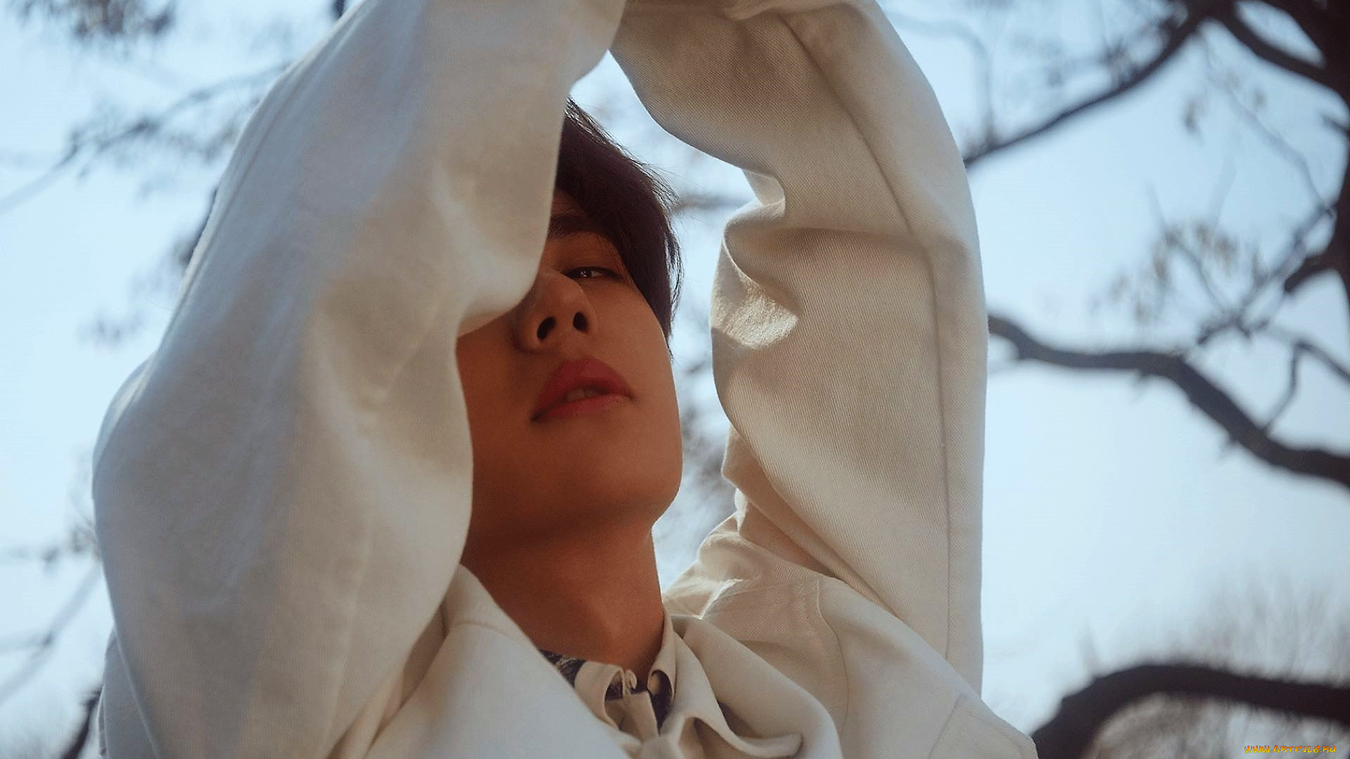 мужчины, wang, yi, bo, лицо, свитер