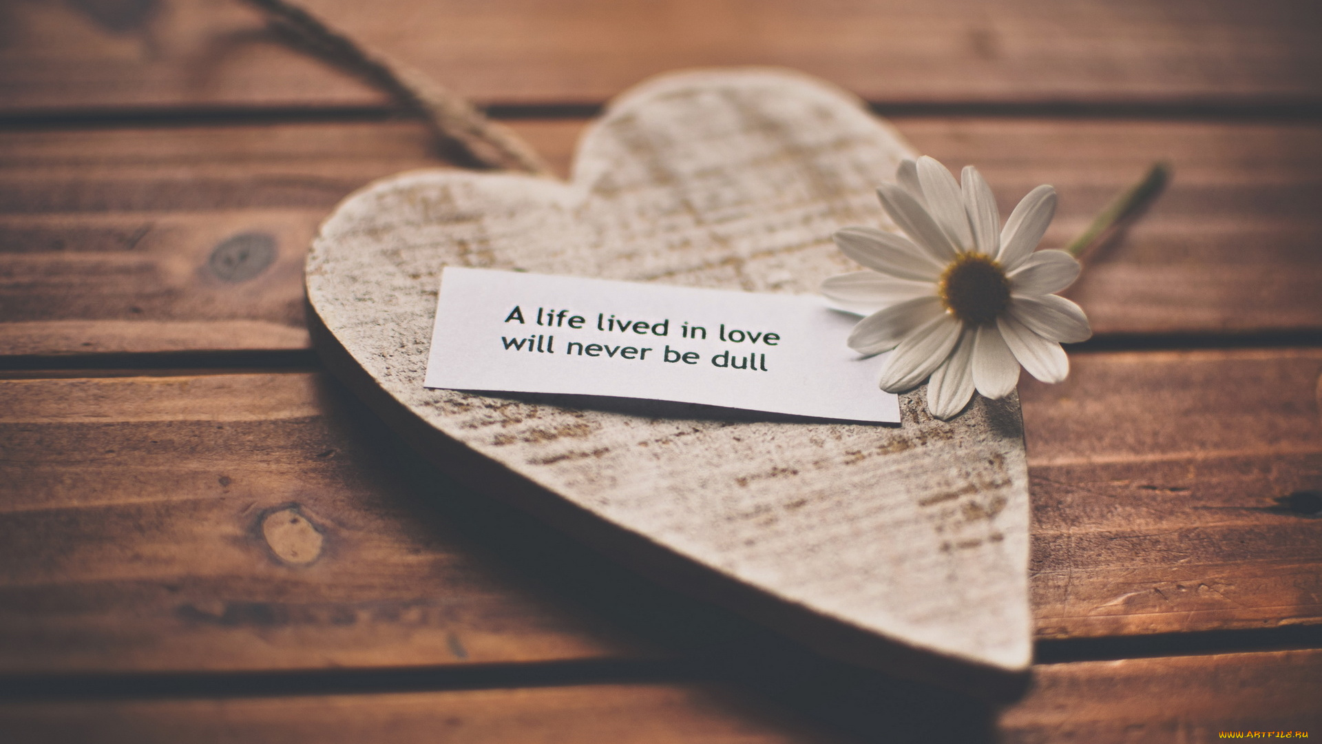 праздничные, день, святого, валентина, , сердечки, , любовь, сердечко, записка, ромашка