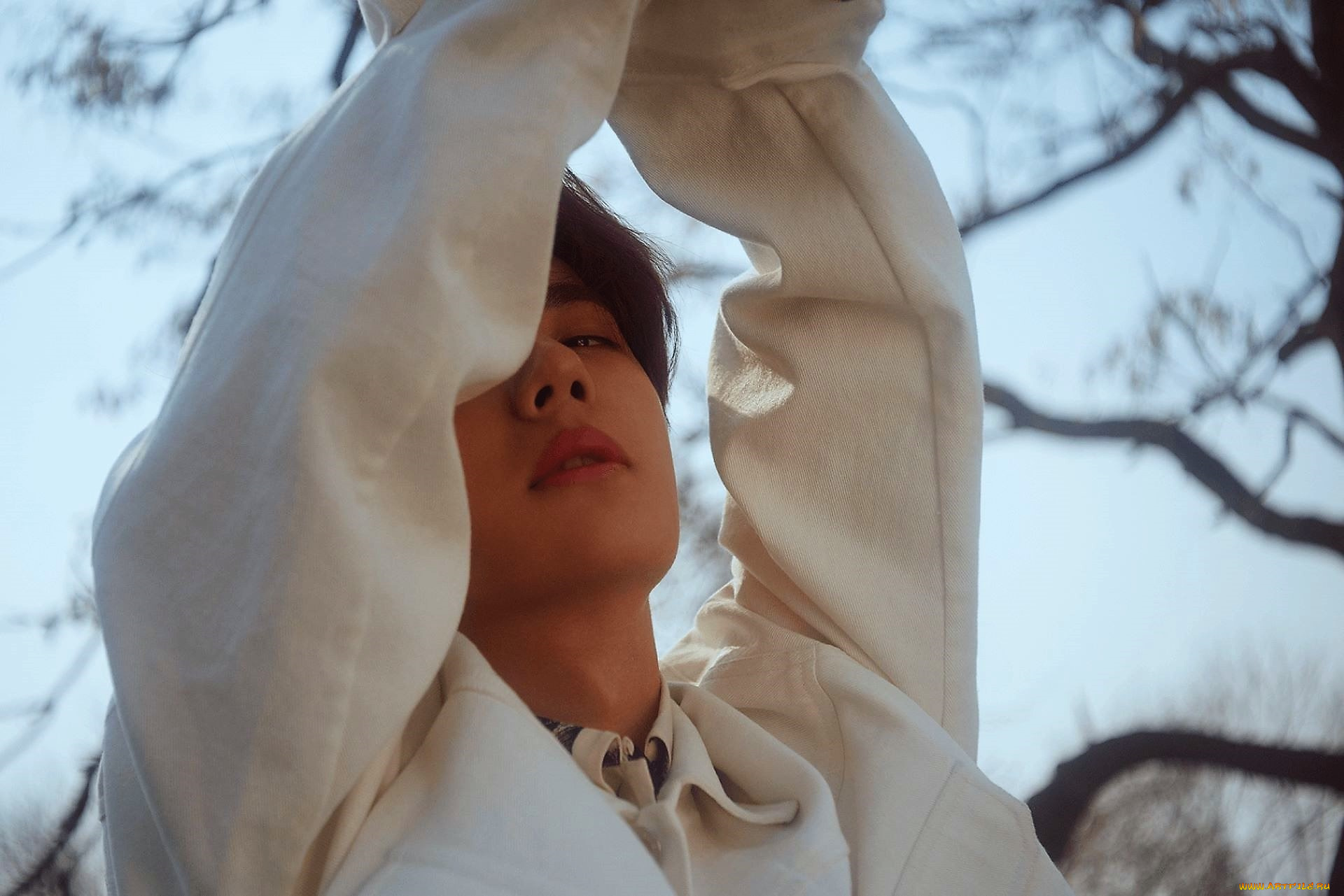 мужчины, wang, yi, bo, лицо, свитер