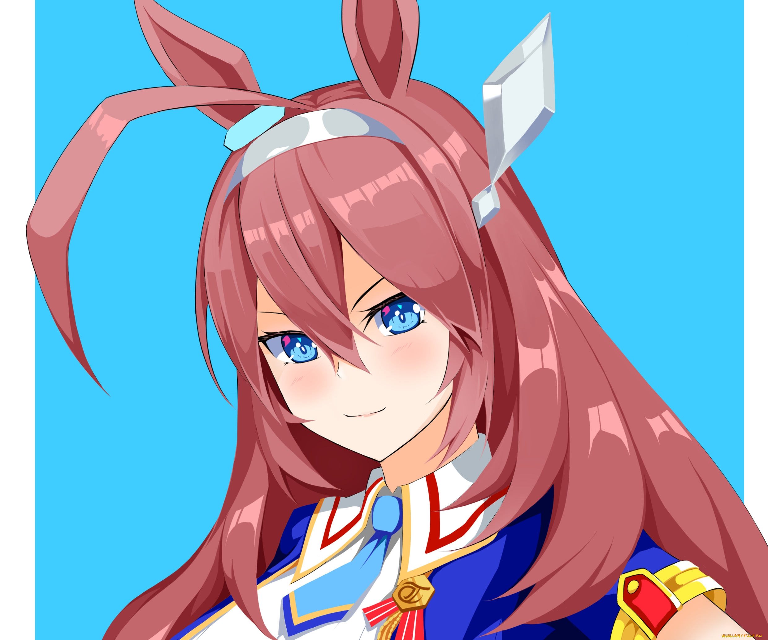 аниме, uma, musume, , pretty, derby, uma, musume, pretty, derby