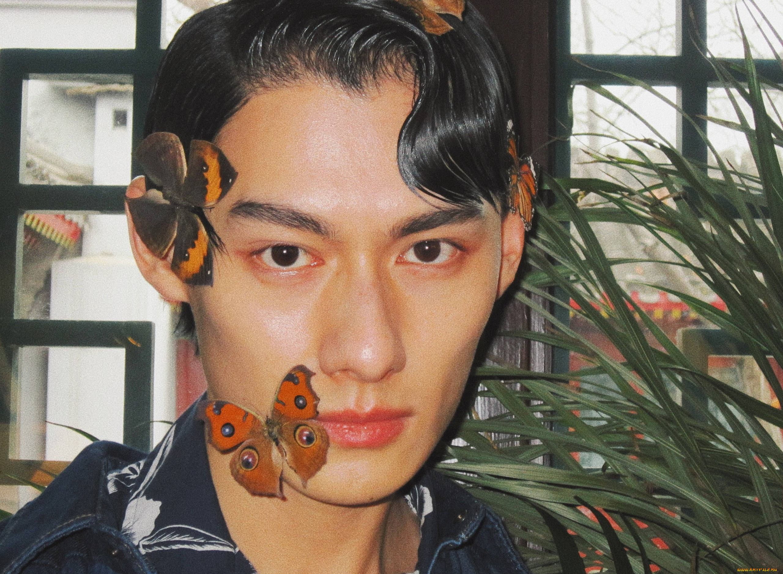 мужчины, wang, zhuocheng, wang, zhuocheng, ван, чжочэн