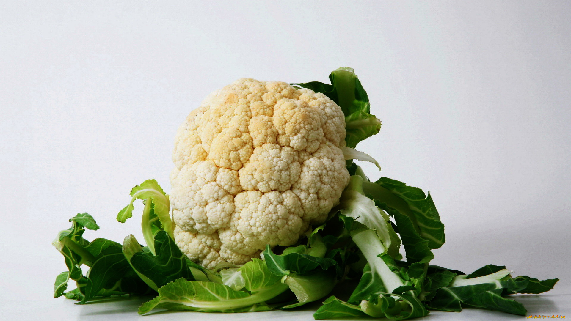 еда, капуста, и, её, разновидности, кочан, капуста, цветная