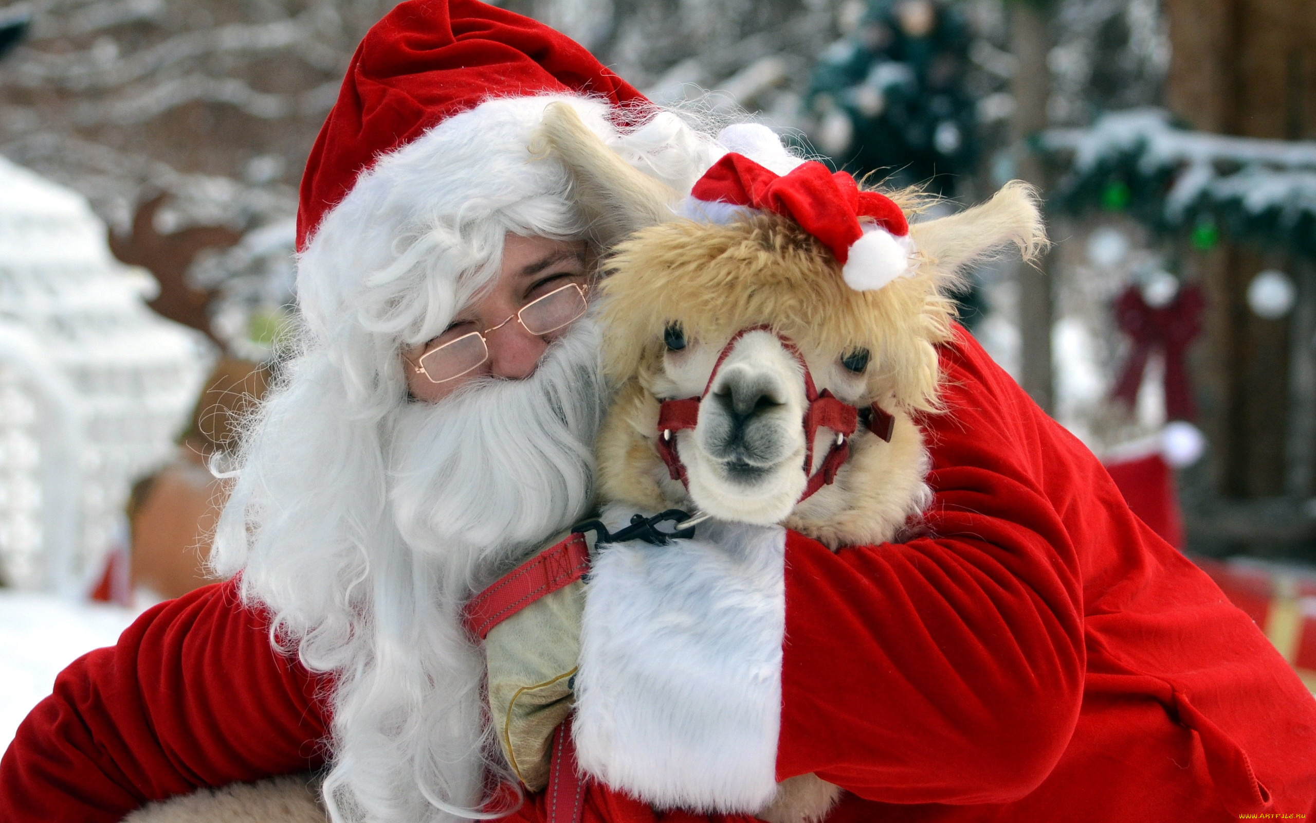 праздничные, дед, мороз, , санта, клаус, санта, альпака