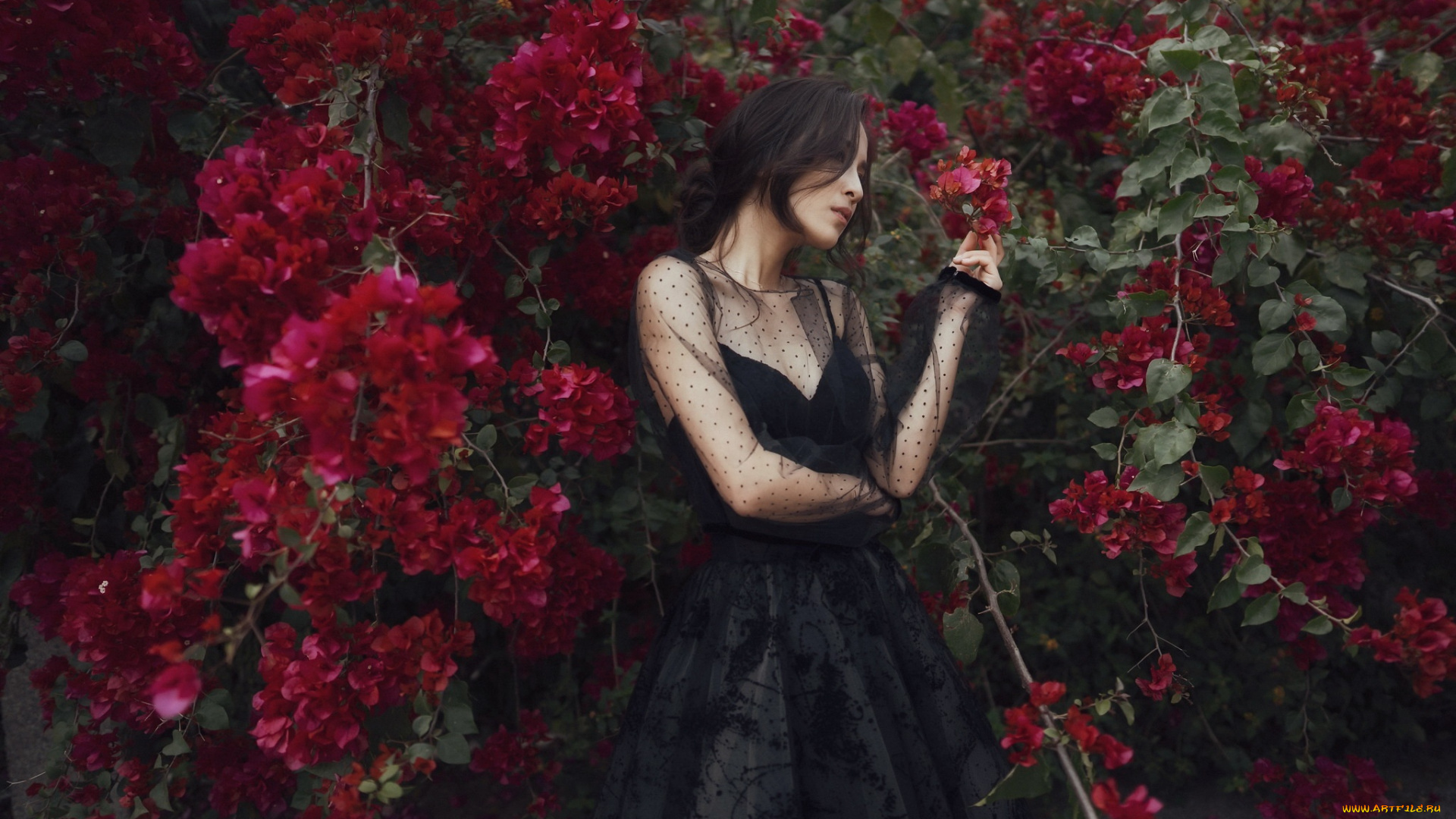 девушка, -, girl, девушки, -, азиатки, девушка, женщина, брюнетка, темноволосая, сексуальная, модель, звезда, позирует, разная, обувь, верхняя, стильная, одежда, нижнее, эротическое, бельё, трусы, лифчик, колготки, чулки, аксессуары, макияж, и, множество, элементов, на, фотографии