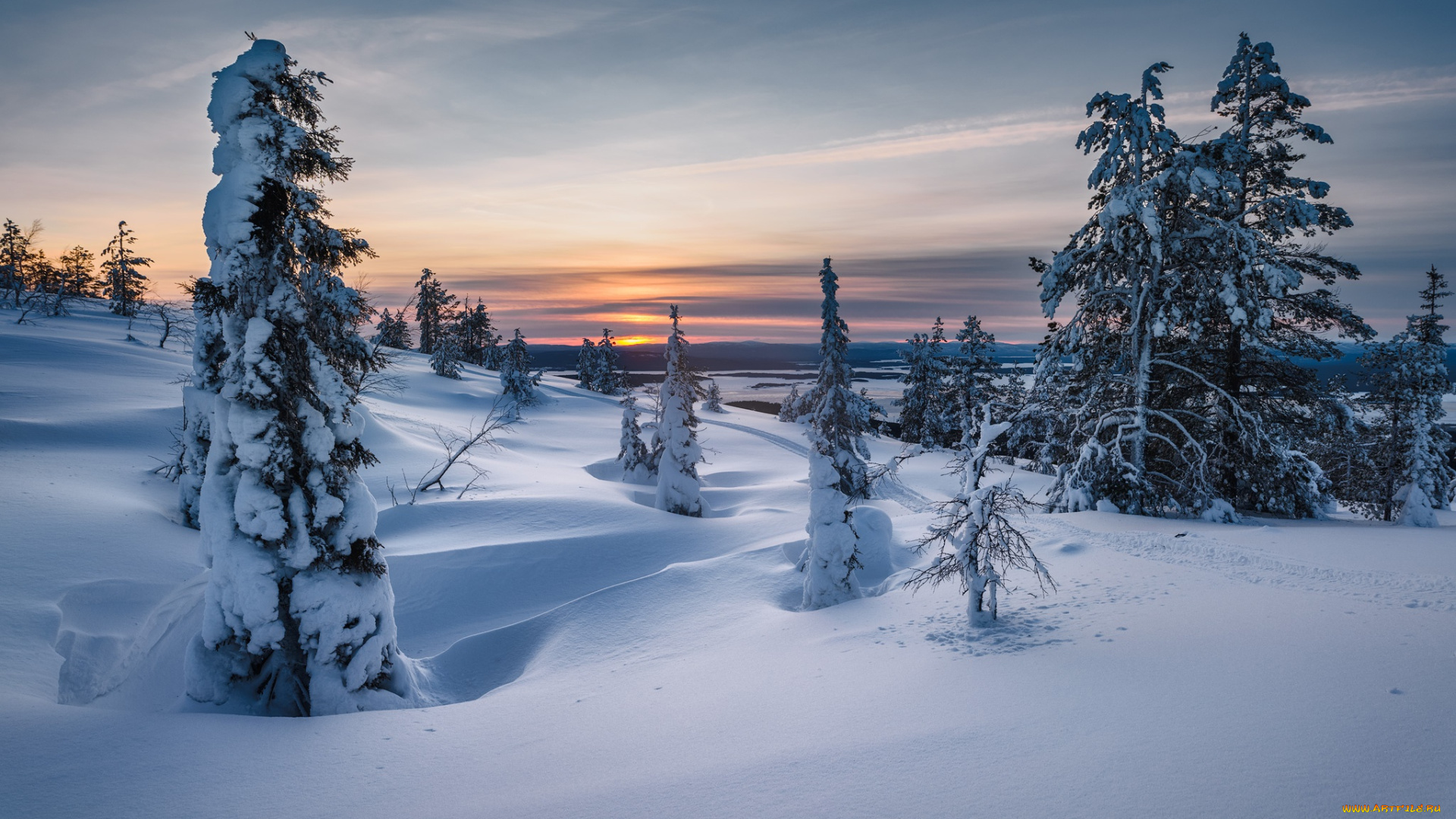 природа, зима, eль, россия, закат, снег