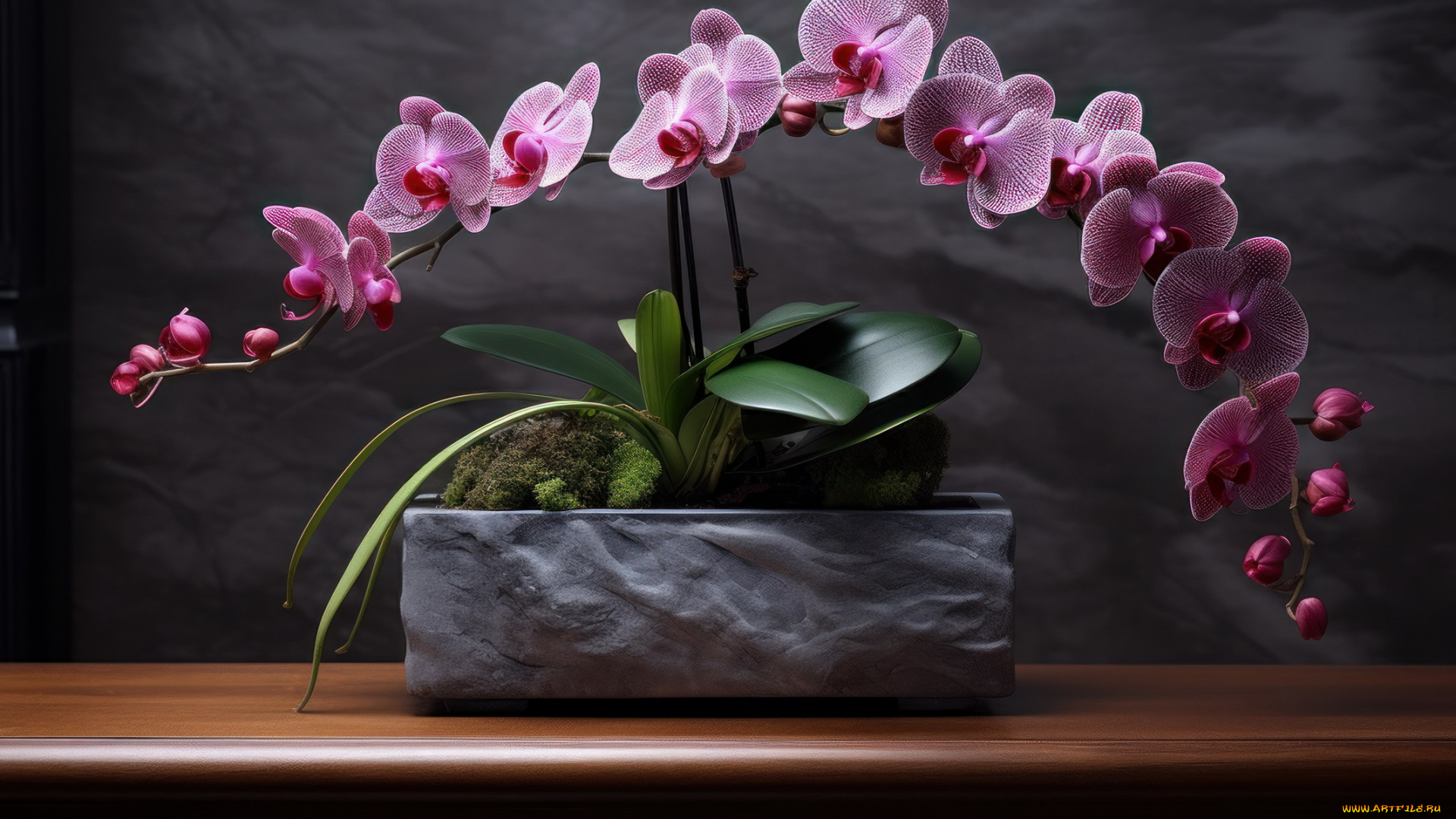 разное, компьютерный, дизайн, вазон, орхидеи, экзотика