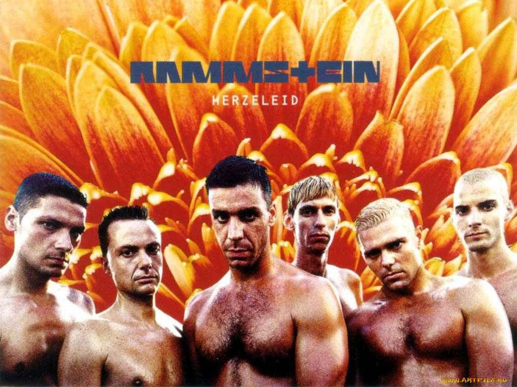 herzeleid, музыка, rammstein
