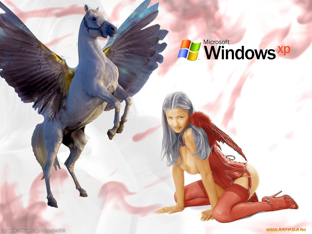 компьютеры, windows, xp