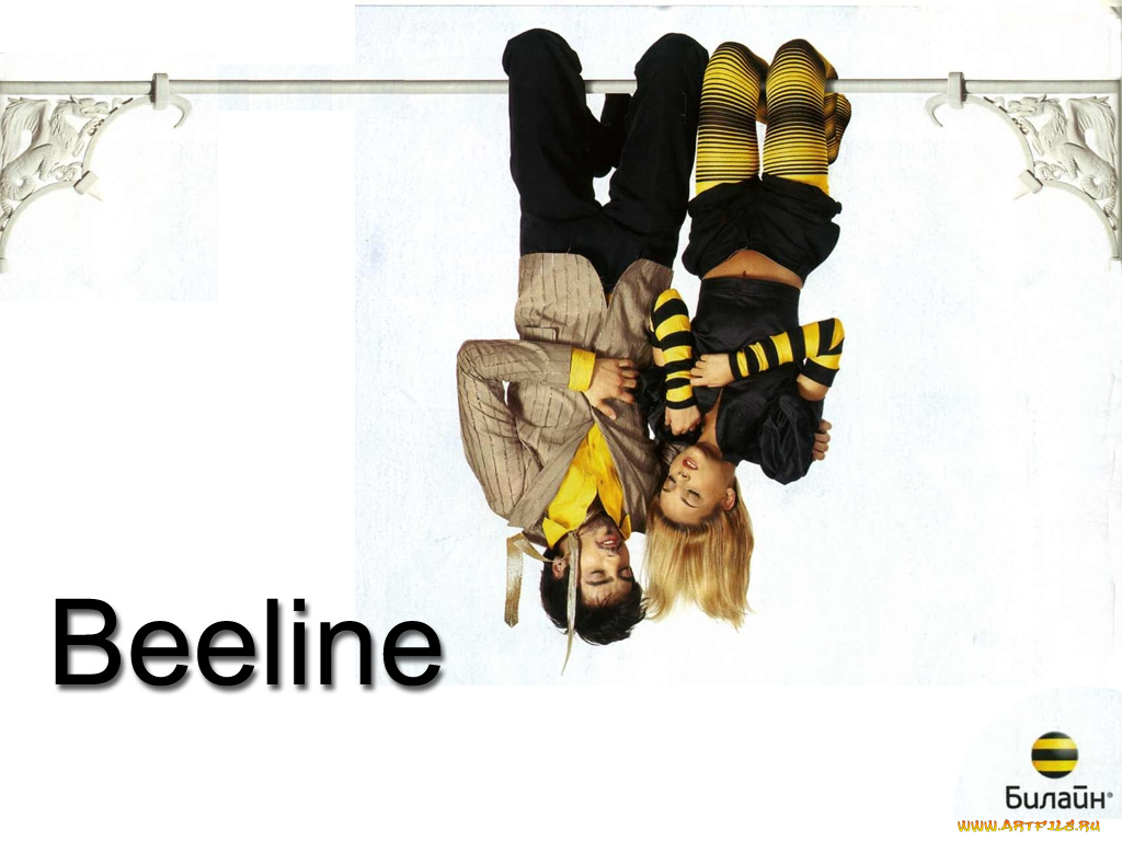 бренды, beeline