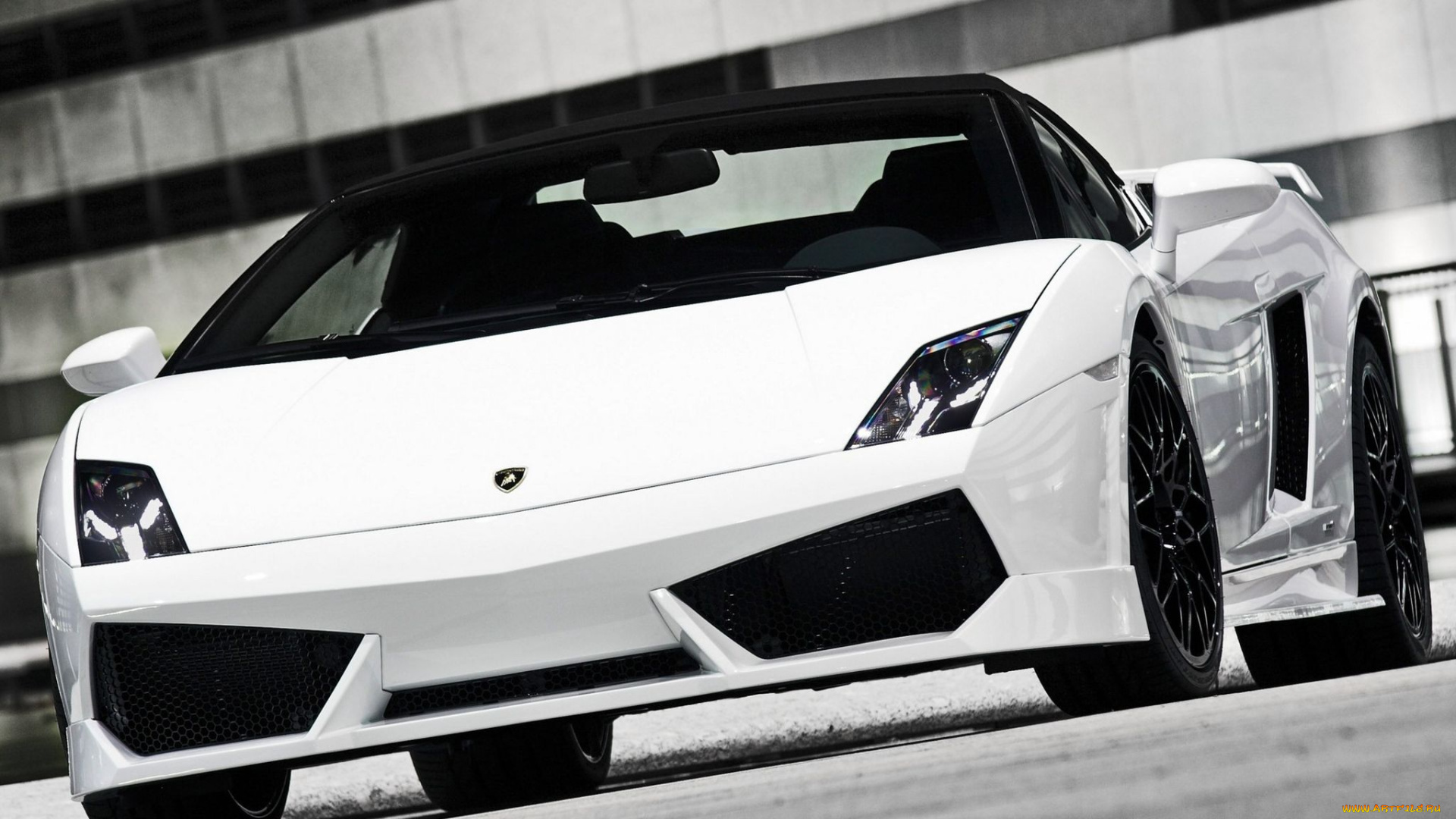 автомобили, lamborghini