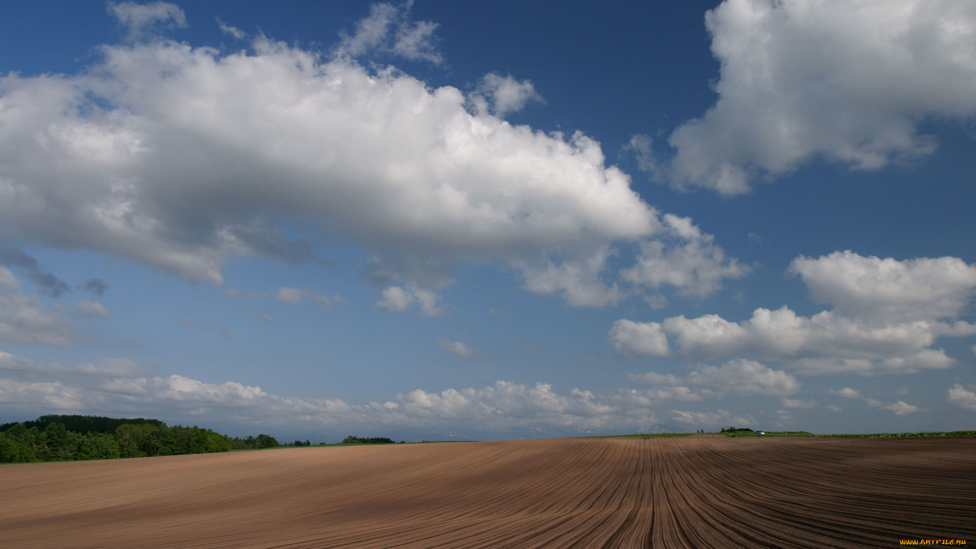 природа, поля