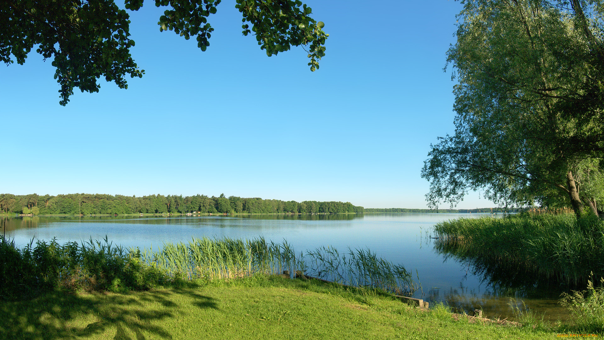 природа, реки, озера