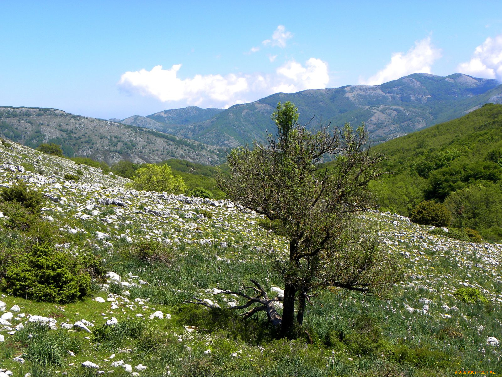 природа, горы, италия