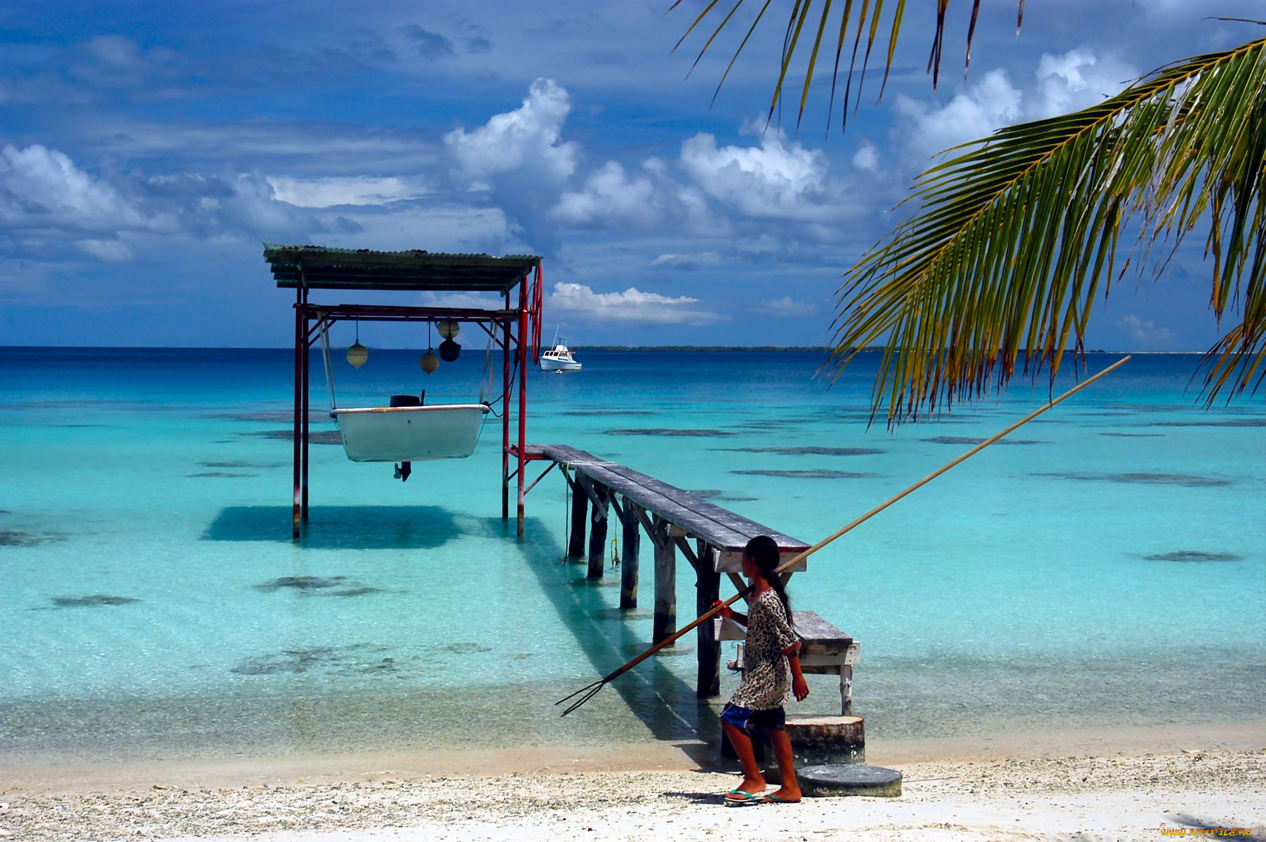 природа, тропики, полинезия