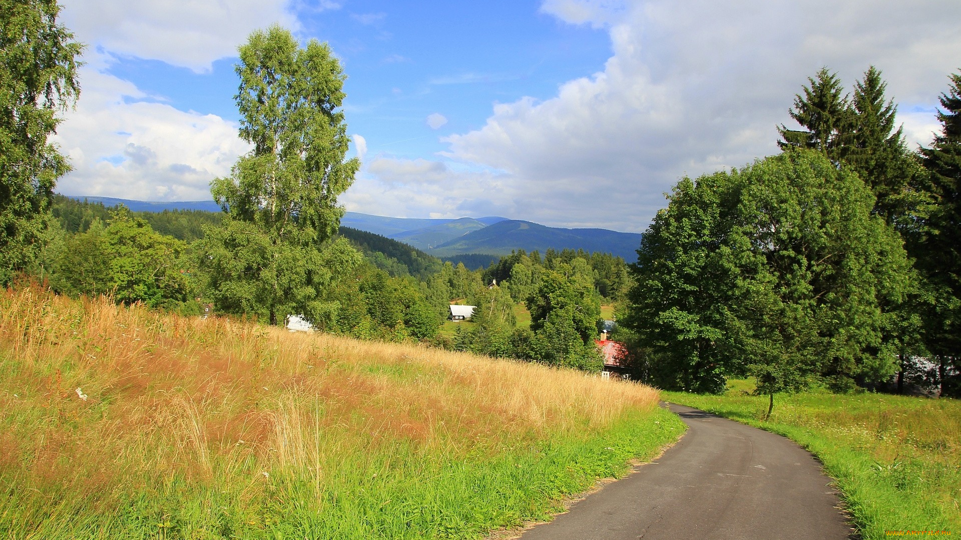 природа, дороги, поворот, дорога, деревья, горы