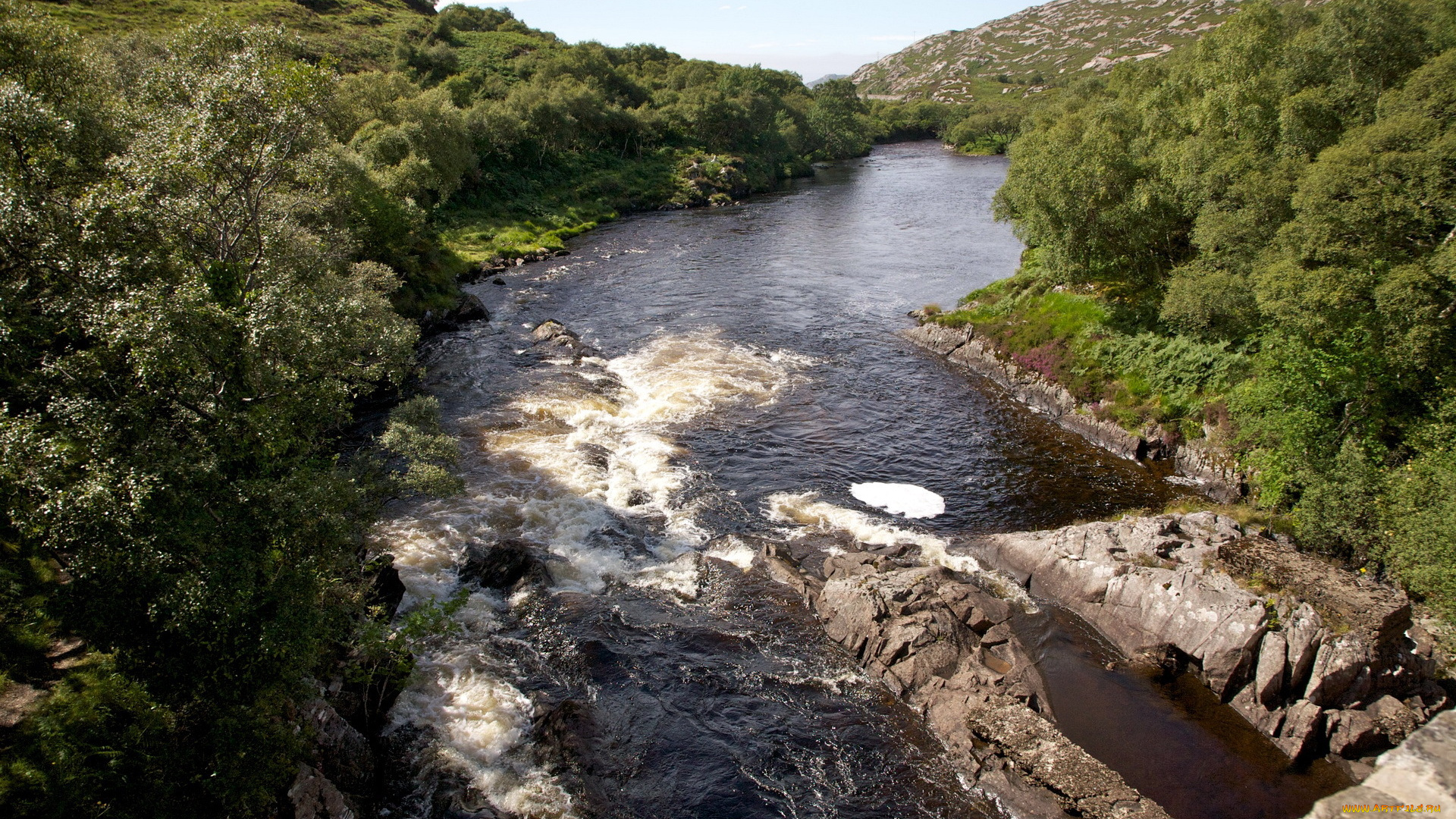 природа, реки, озера, вода, русло, камни, река, склон, лес