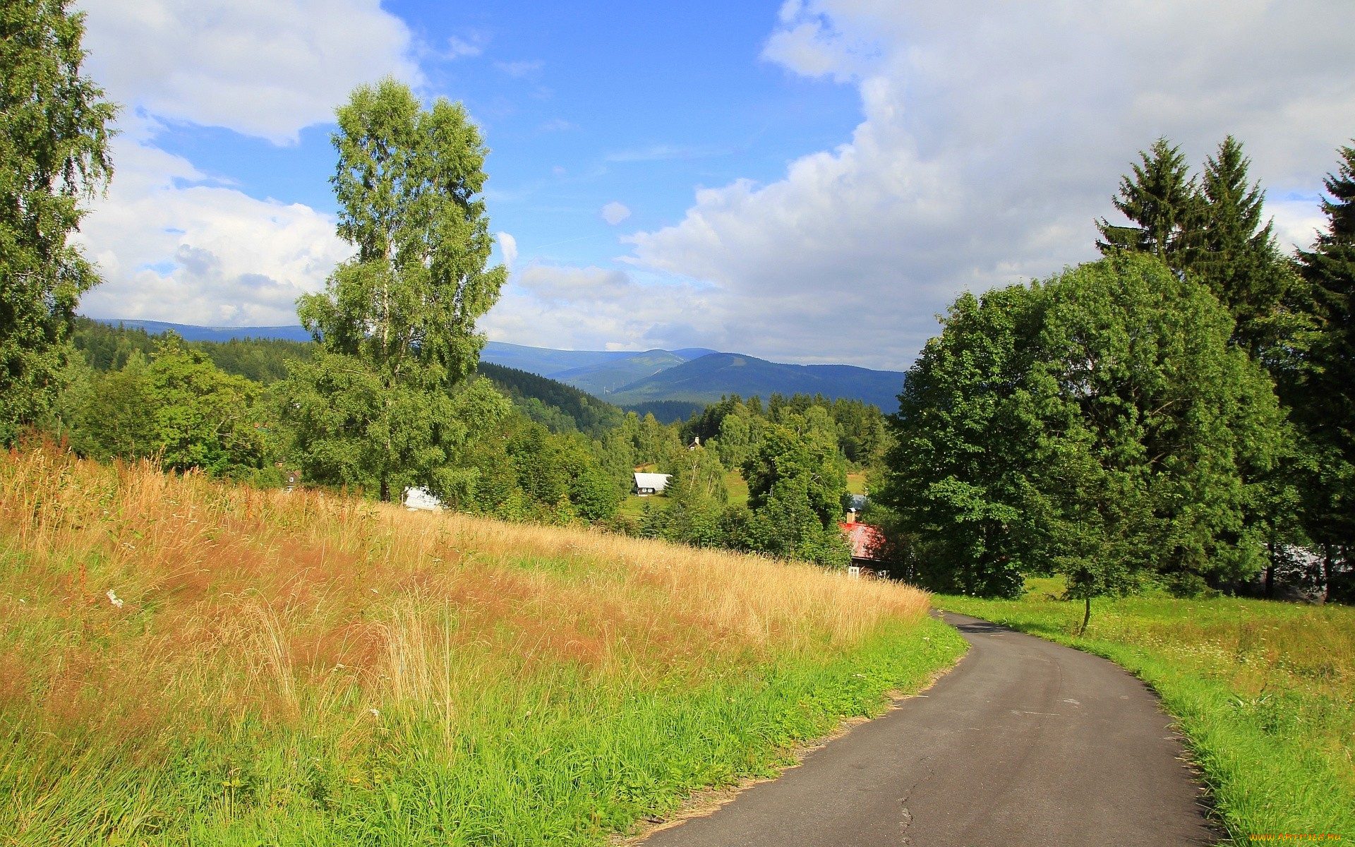 природа, дороги, поворот, дорога, деревья, горы