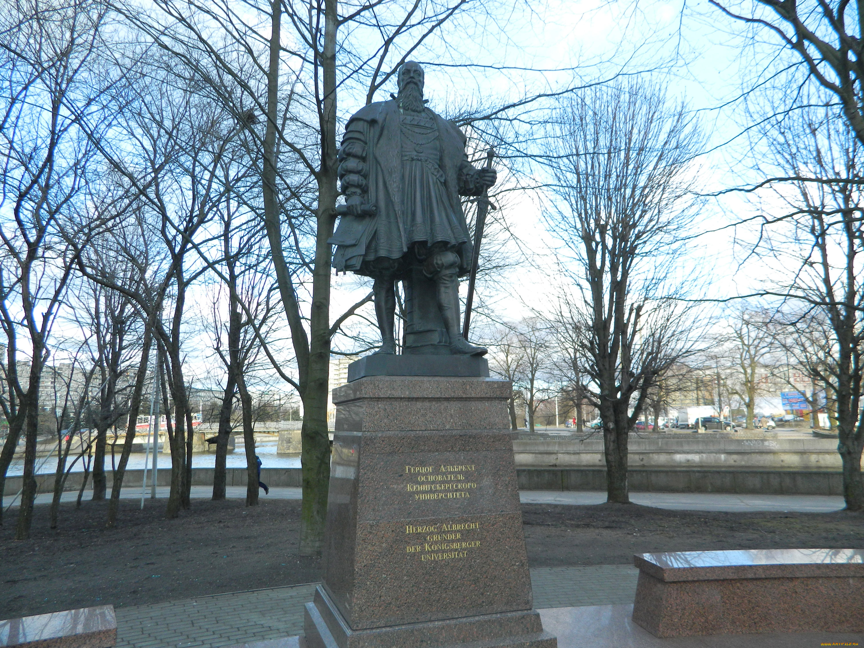 города, памятники, скульптуры, арт, объекты, калининград