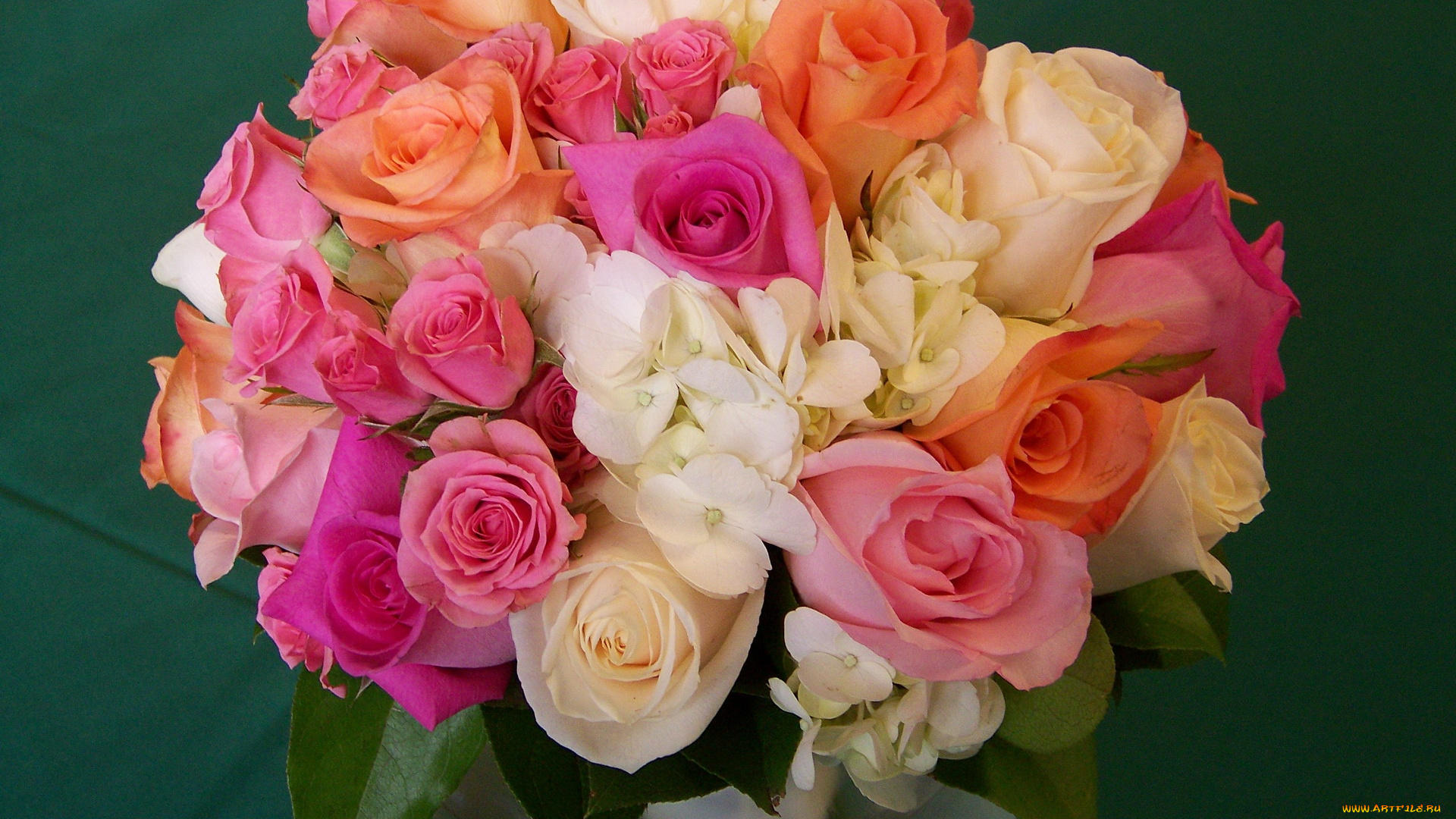 цветы, розы, букеты