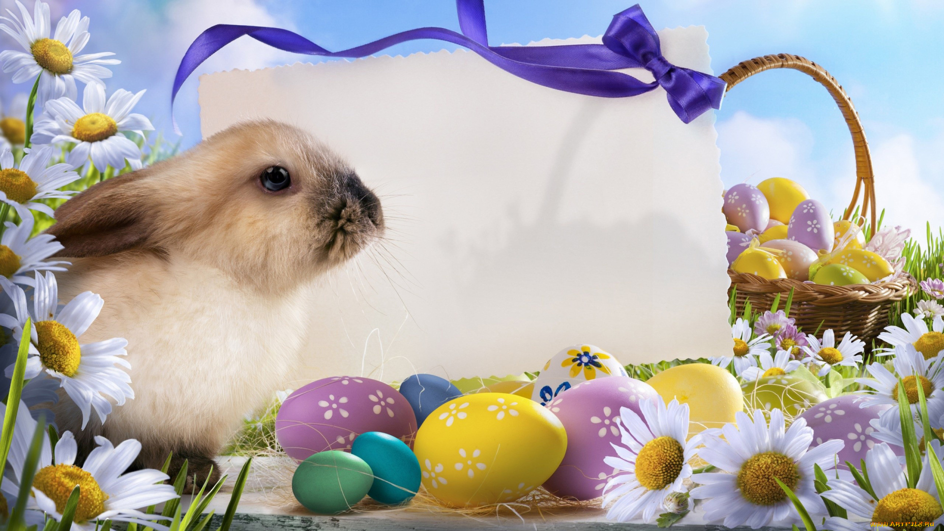 животные, кролики, зайцы, ромашки, лента, писанки, кролик