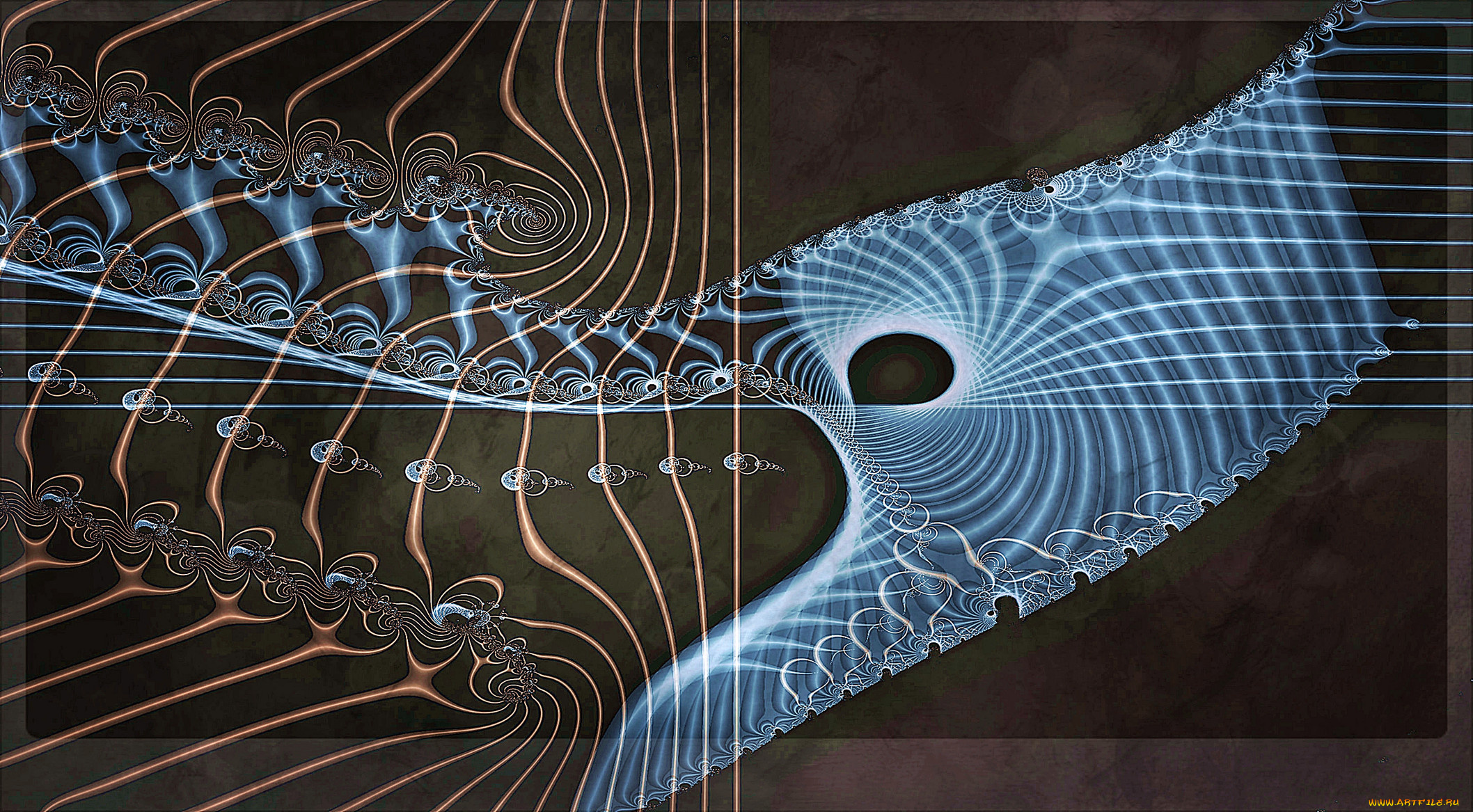 3д, графика, fractal, фракталы, фон, узор, цвета