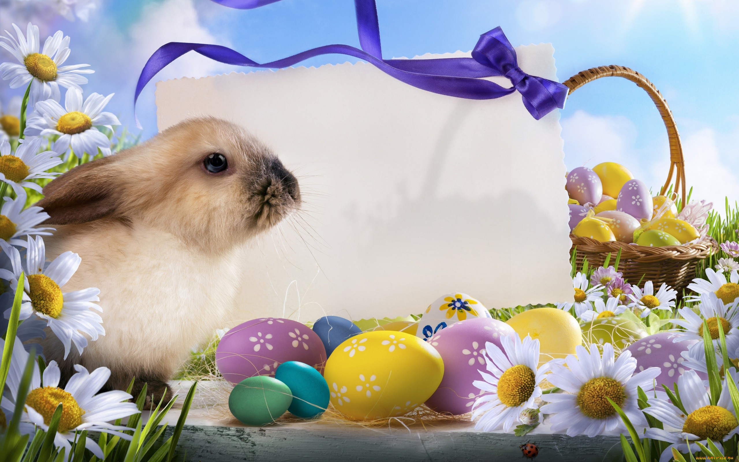 животные, кролики, зайцы, ромашки, лента, писанки, кролик