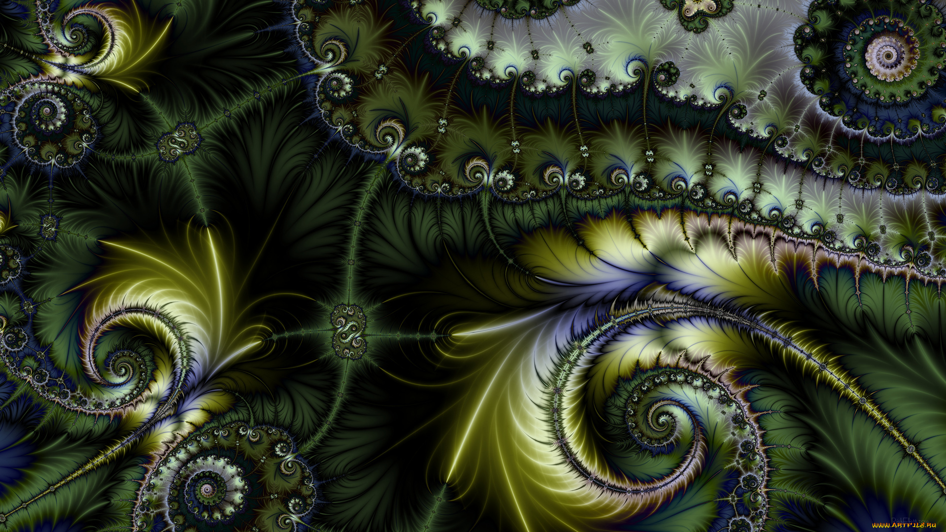 3д, графика, fractal, , фракталы, фон, цвета, узор