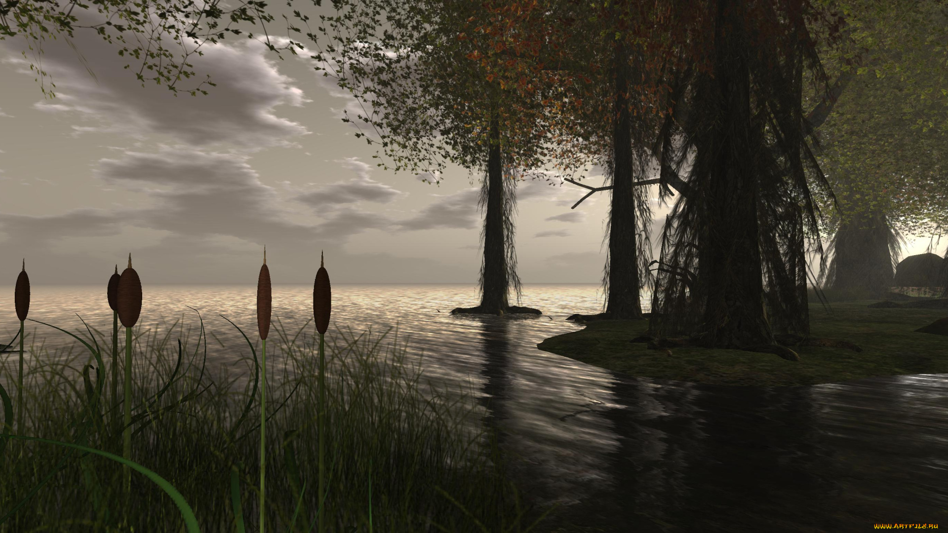 3д, графика, nature, landscape, , природа, деревья, облака, озеро, камыши