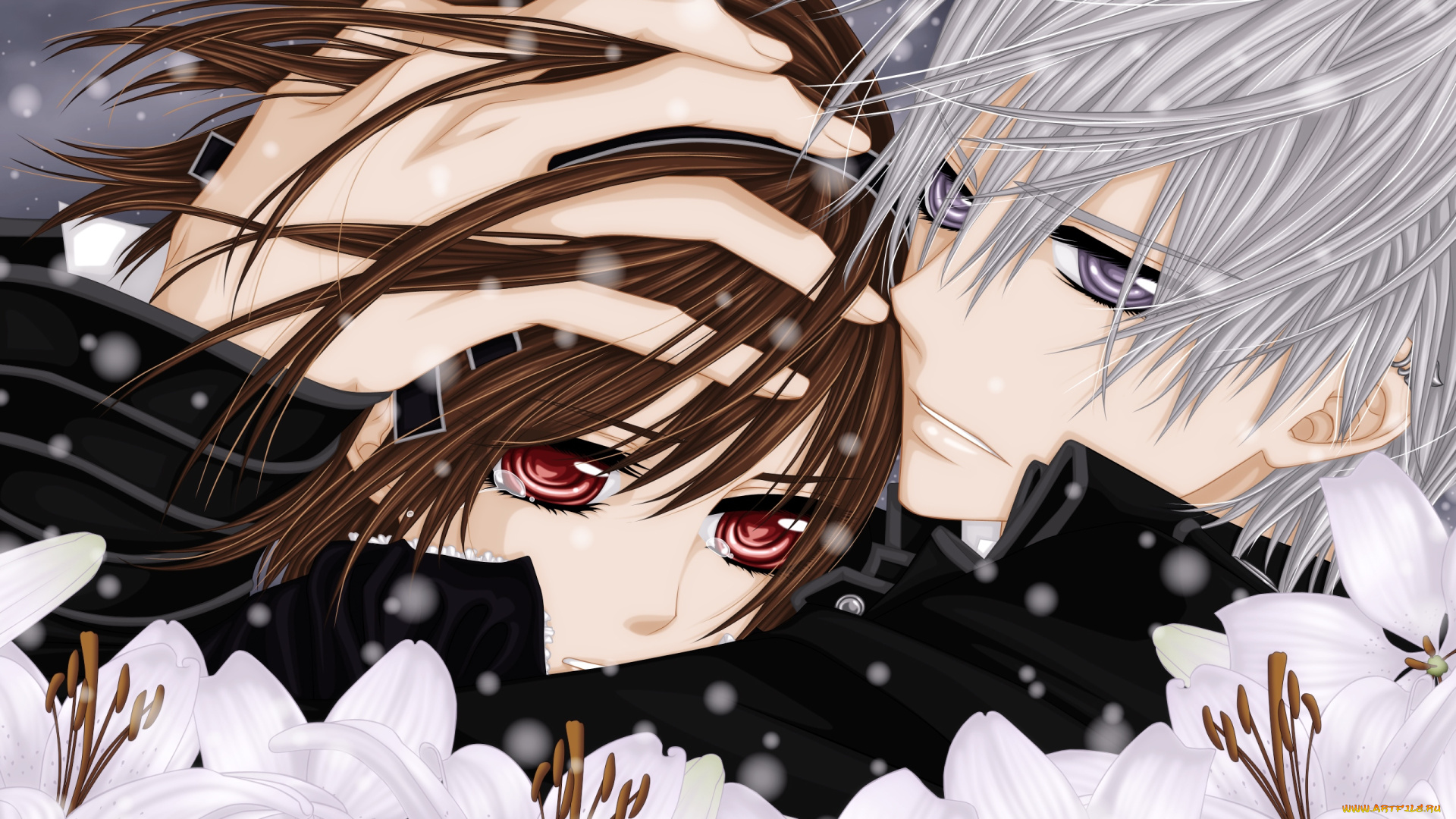 аниме, vampire, knight, взгляд, цветы, снег, объятия, слезы, zero, yuki, vampire, knight