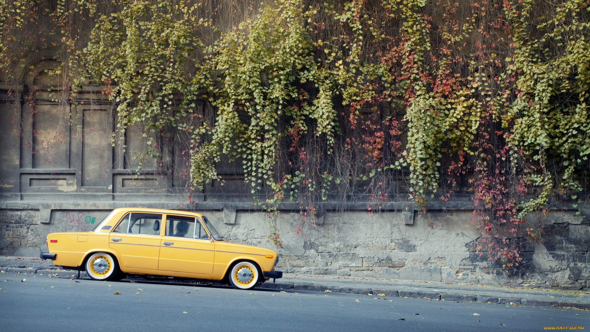 автомобили, ваз, растения, стена, лиана, дикий, виноград, улица, желтая, жигули, лада, 2106